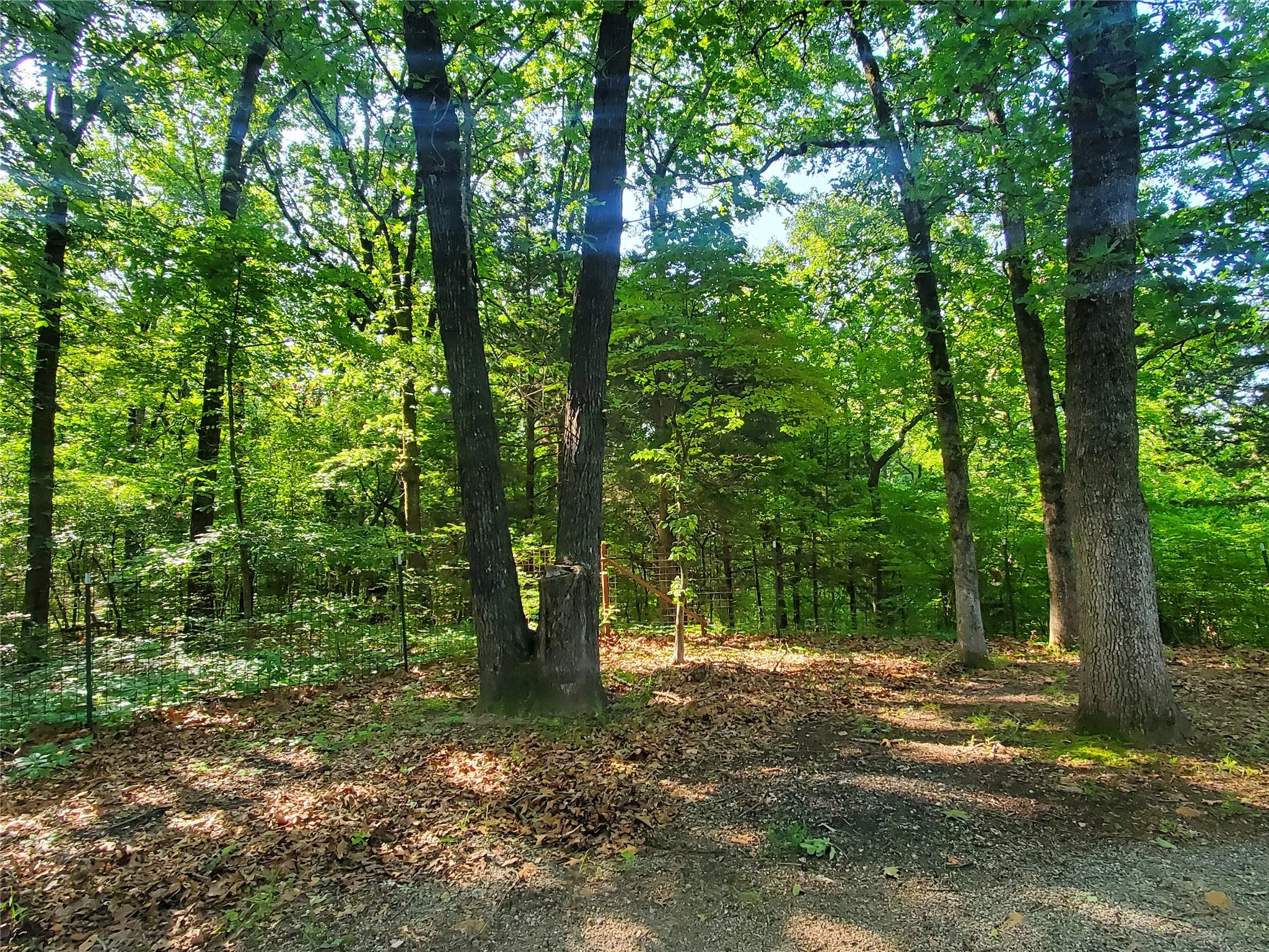 View of nature