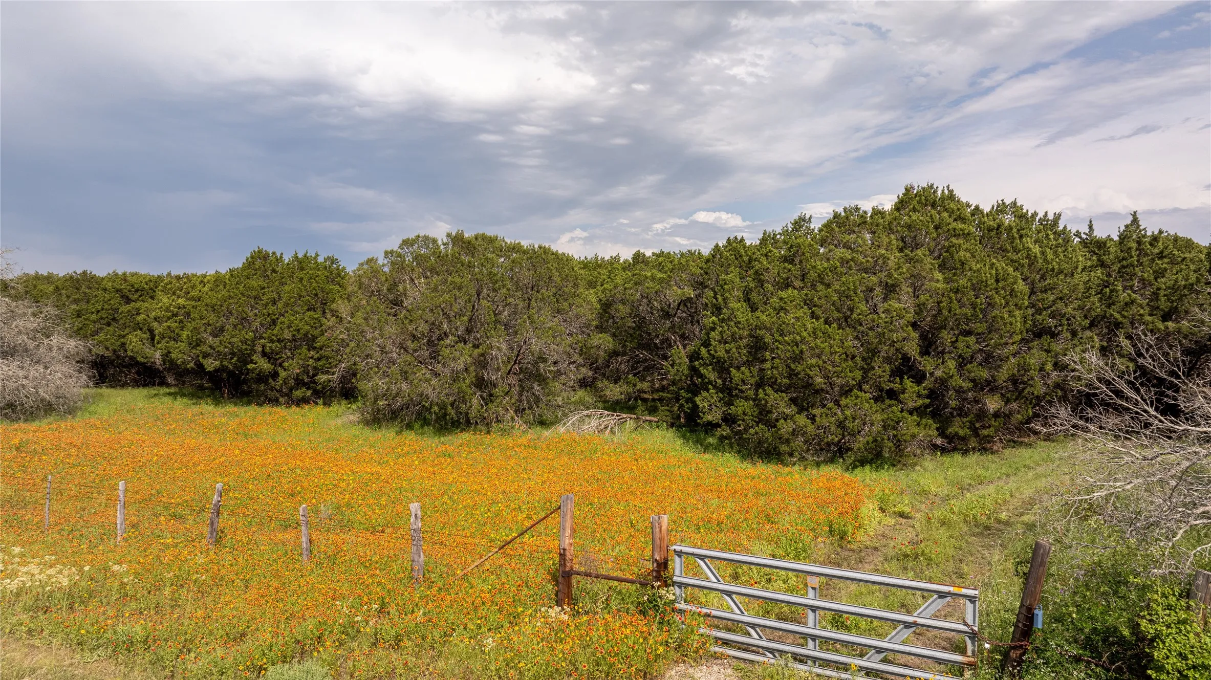 View of nature featuring a rural view