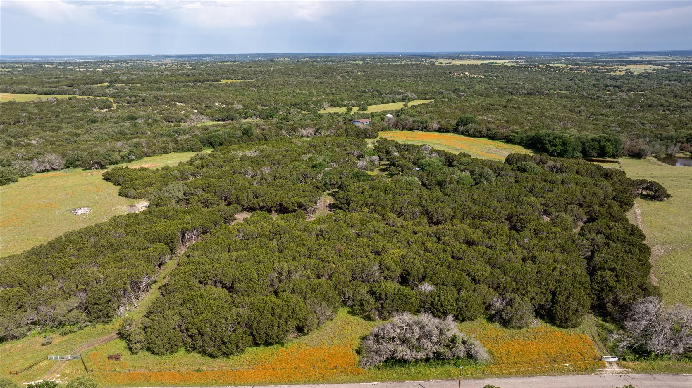 View of drone / aerial view
