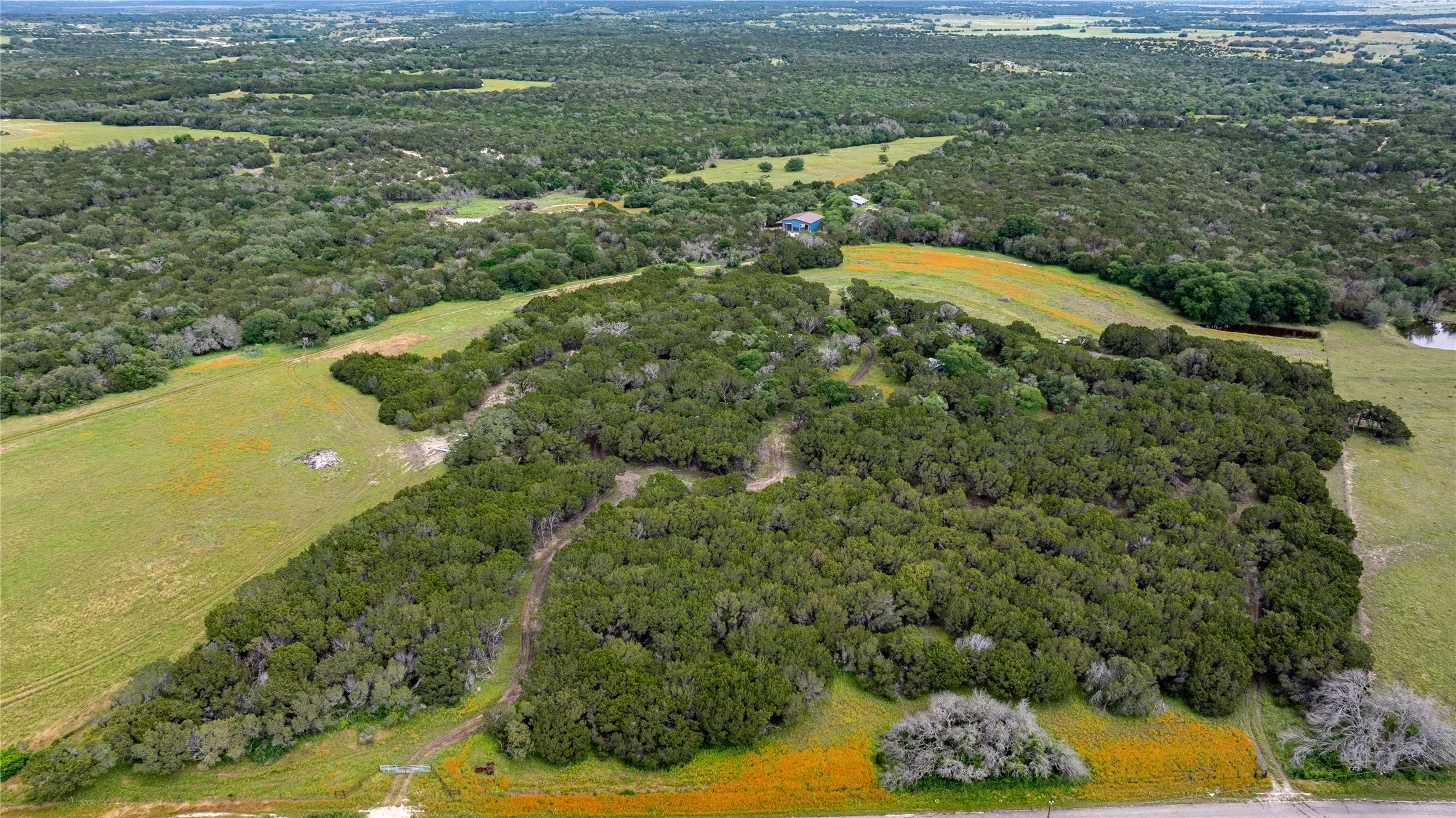 Drone / aerial view featuring a rural view