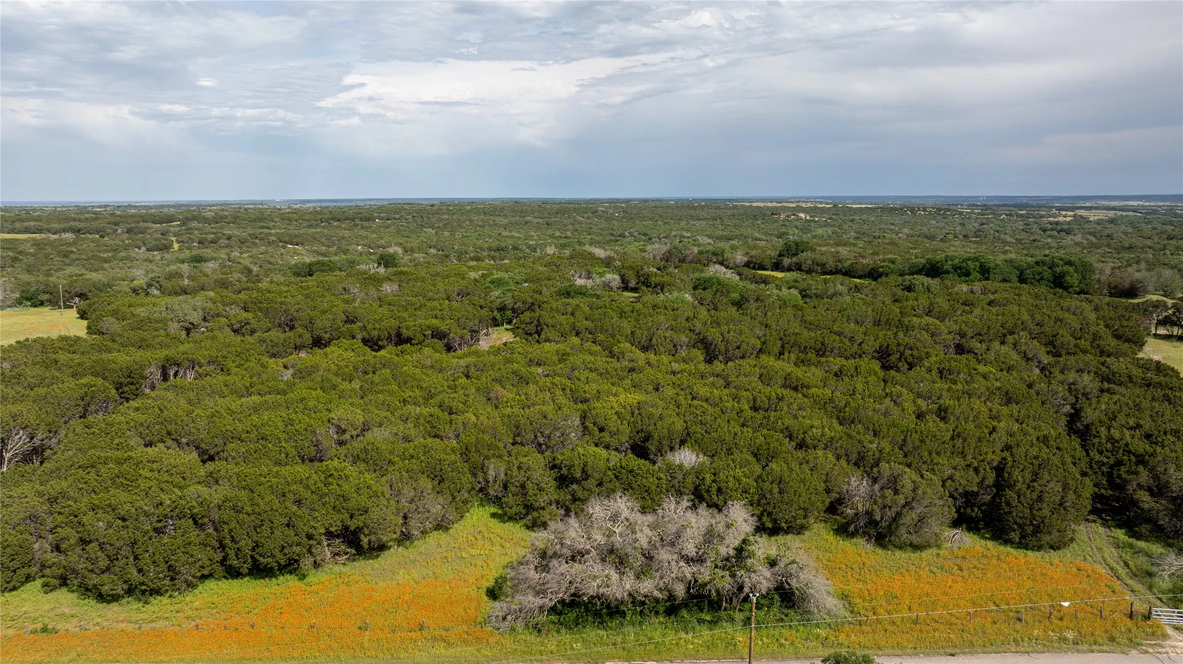 View of drone / aerial view