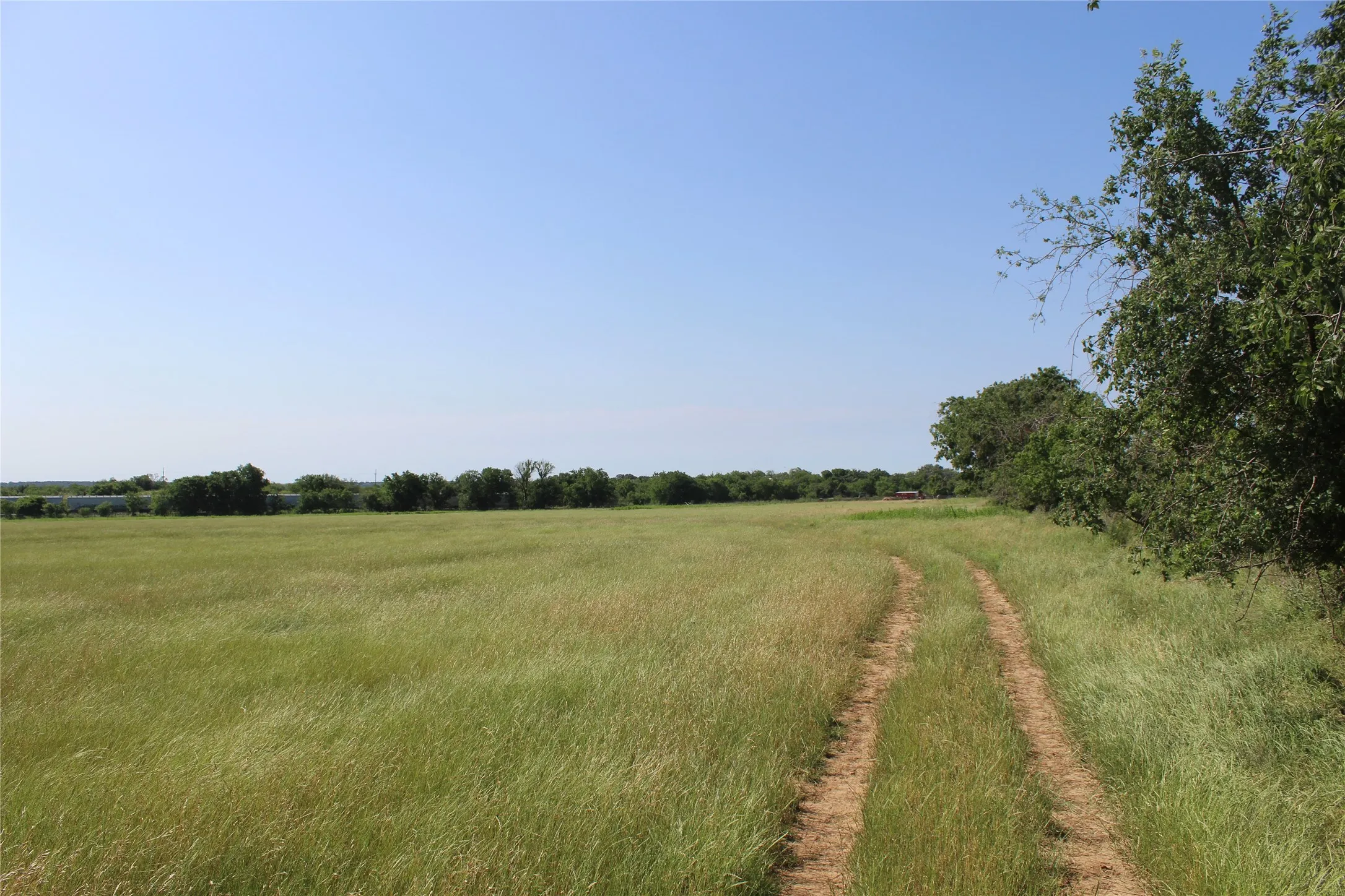 Unimproved Land For Sale in Brown County , 9999 County Road 334, Blanket, Texas 76432, 0, 0, Garage spaces, 0 Sqft, built in 0, mls#20615102, Real Estate Agent in Blanket, Homes For Sale in Brown county, Homes For Sale in Blanket, Realtor in Blanket Texas, Real Estate Brokerage Independent Realty Texas, Luminita Cordes Realtor