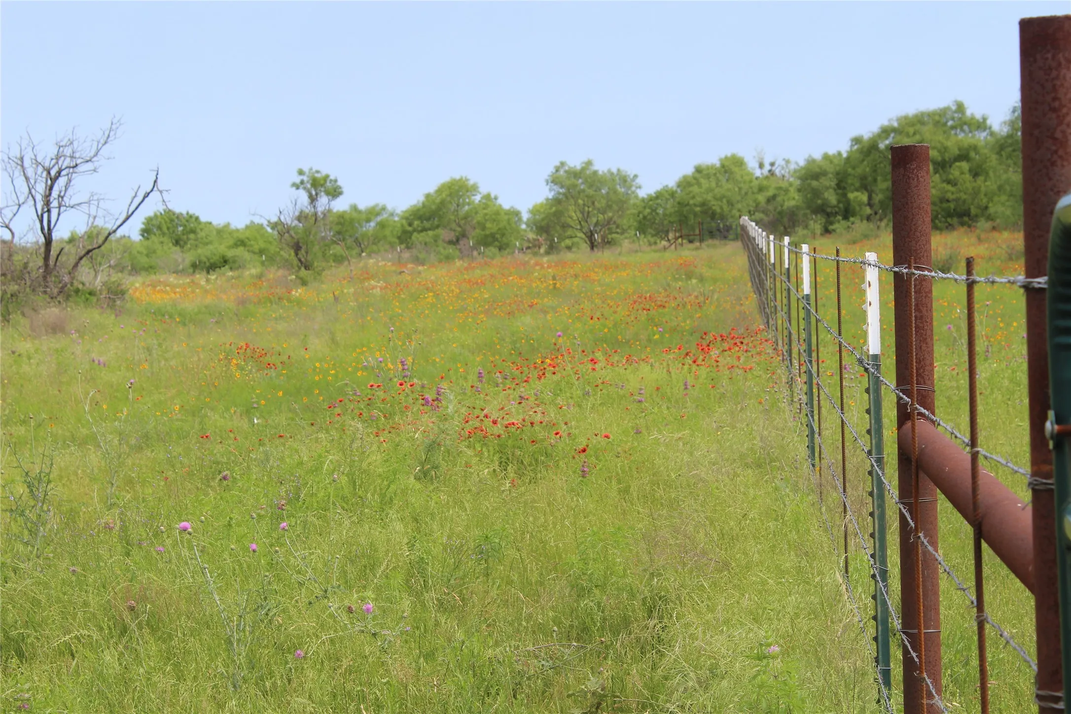 Unimproved Land For Sale in Brown County , 9999 County Road 334, Blanket, Texas 76432, 0, 0, Garage spaces, 0 Sqft, built in 0, mls#20615102, Real Estate Agent in Blanket, Homes For Sale in Brown county, Homes For Sale in Blanket, Realtor in Blanket Texas, Real Estate Brokerage Independent Realty Texas, Luminita Cordes Realtor