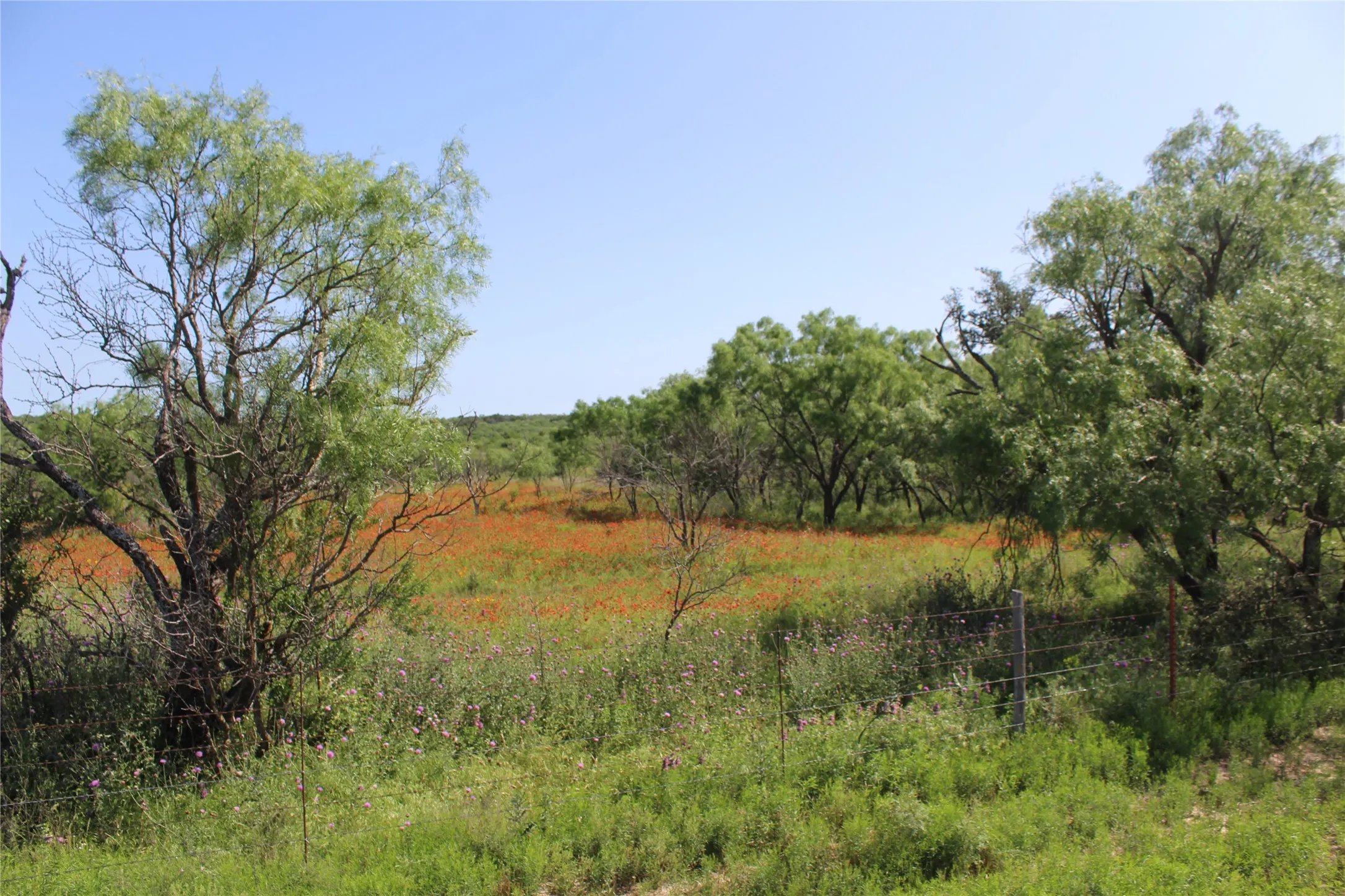 Unimproved Land For Sale in Brown County , 9999 County Road 334, Blanket, Texas 76432, 0, 0, Garage spaces, 0 Sqft, built in 0, mls#20615102, Real Estate Agent in Blanket, Homes For Sale in Brown county, Homes For Sale in Blanket, Realtor in Blanket Texas, Real Estate Brokerage Independent Realty Texas, Luminita Cordes Realtor