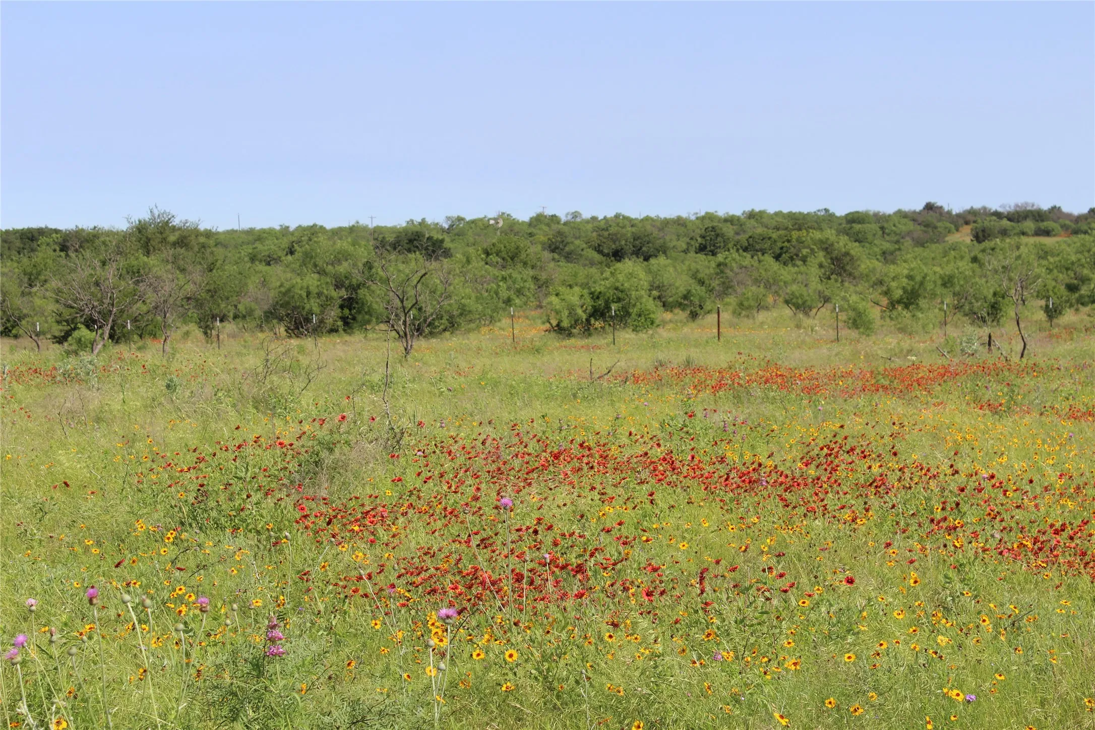 Unimproved Land For Sale in Brown County , 9999 County Road 334, Blanket, Texas 76432, 0, 0, Garage spaces, 0 Sqft, built in 0, mls#20615102, Real Estate Agent in Blanket, Homes For Sale in Brown county, Homes For Sale in Blanket, Realtor in Blanket Texas, Real Estate Brokerage Independent Realty Texas, Luminita Cordes Realtor