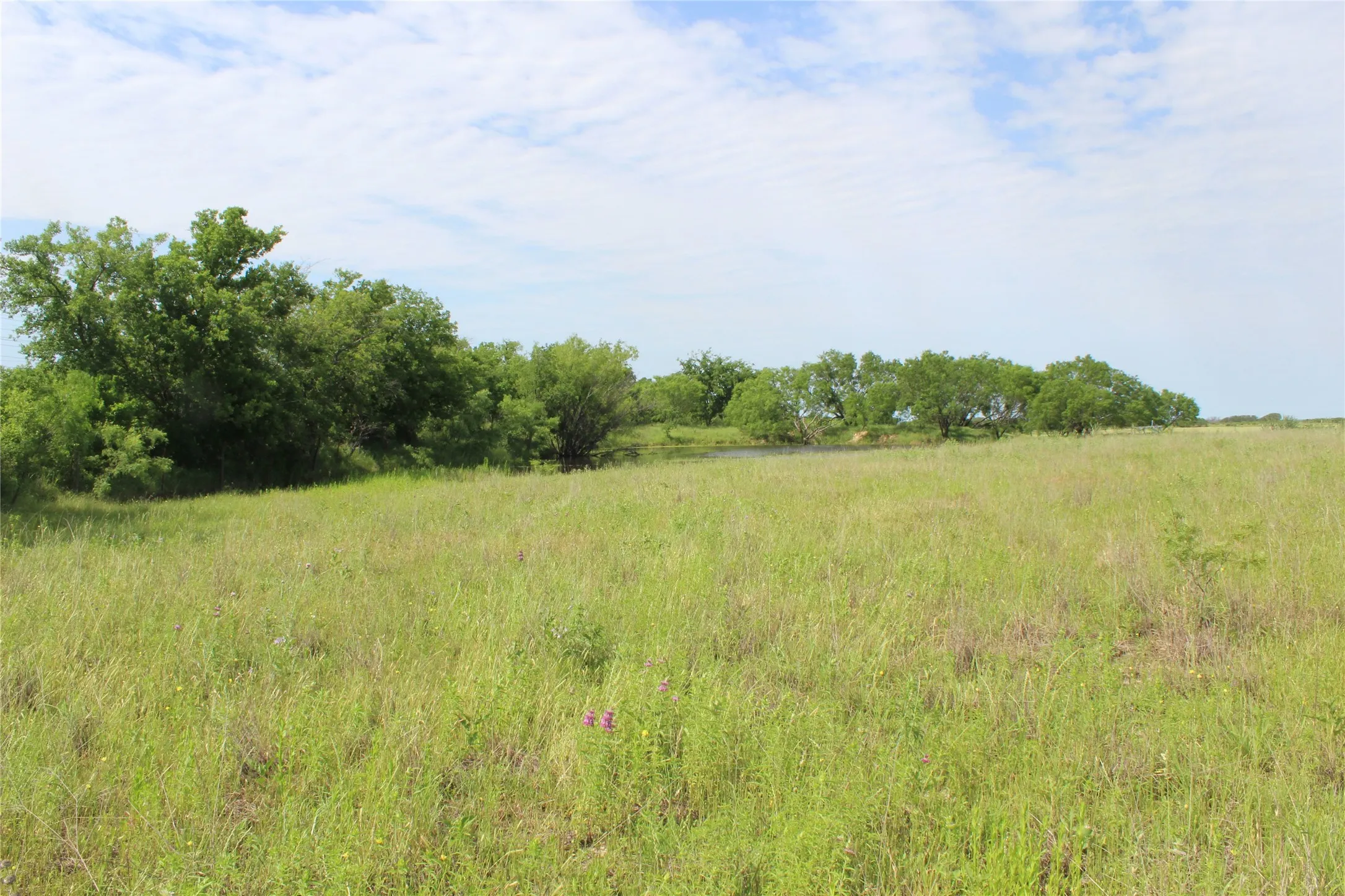 Unimproved Land For Sale in Brown County , 9999 County Road 334, Blanket, Texas 76432, 0, 0, Garage spaces, 0 Sqft, built in 0, mls#20615102, Real Estate Agent in Blanket, Homes For Sale in Brown county, Homes For Sale in Blanket, Realtor in Blanket Texas, Real Estate Brokerage Independent Realty Texas, Luminita Cordes Realtor
