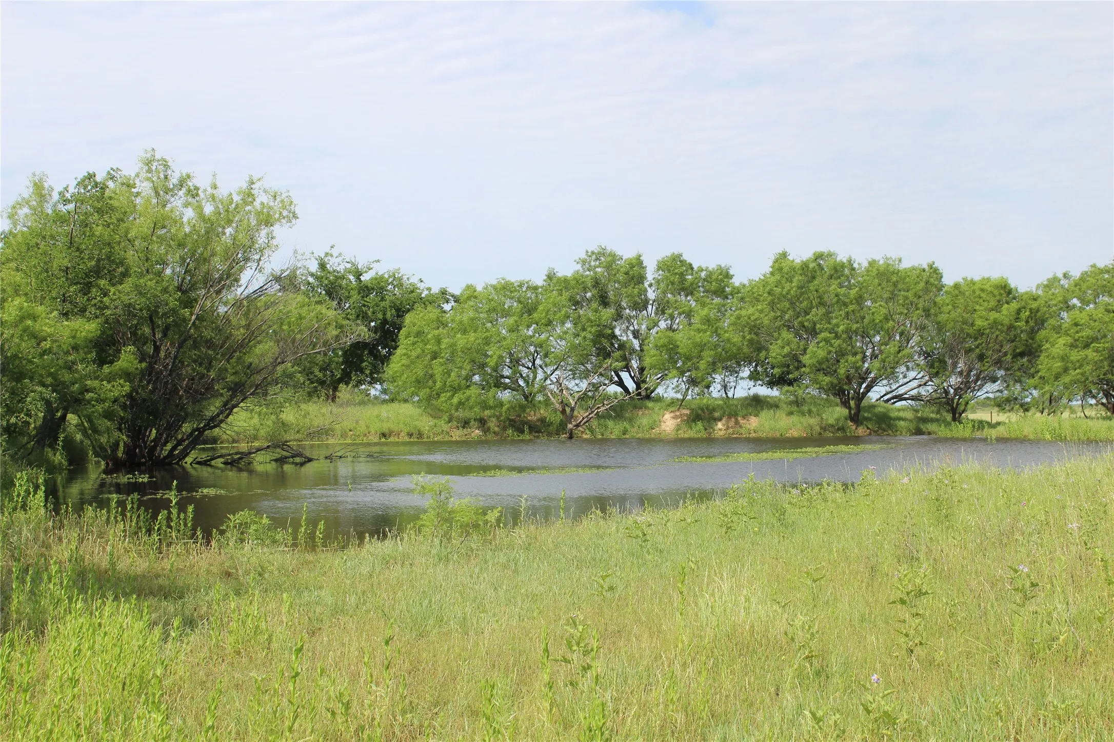Unimproved Land For Sale in Brown County , 9999 County Road 334, Blanket, Texas 76432, 0, 0, Garage spaces, 0 Sqft, built in 0, mls#20615102, Real Estate Agent in Blanket, Homes For Sale in Brown county, Homes For Sale in Blanket, Realtor in Blanket Texas, Real Estate Brokerage Independent Realty Texas, Luminita Cordes Realtor