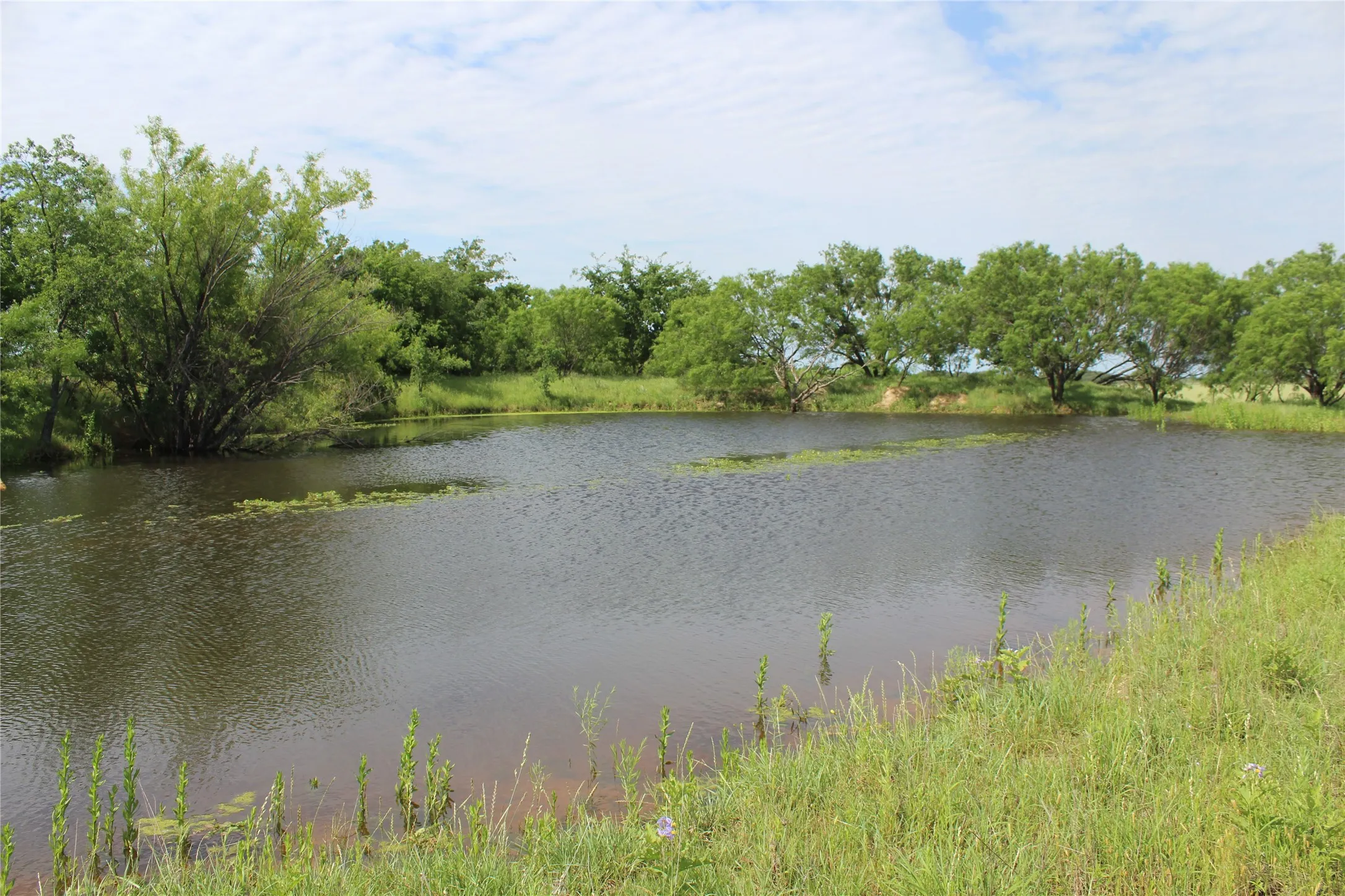 Unimproved Land For Sale in Brown County , 9999 County Road 334, Blanket, Texas 76432, 0, 0, Garage spaces, 0 Sqft, built in 0, mls#20615102, Real Estate Agent in Blanket, Homes For Sale in Brown county, Homes For Sale in Blanket, Realtor in Blanket Texas, Real Estate Brokerage Independent Realty Texas, Luminita Cordes Realtor