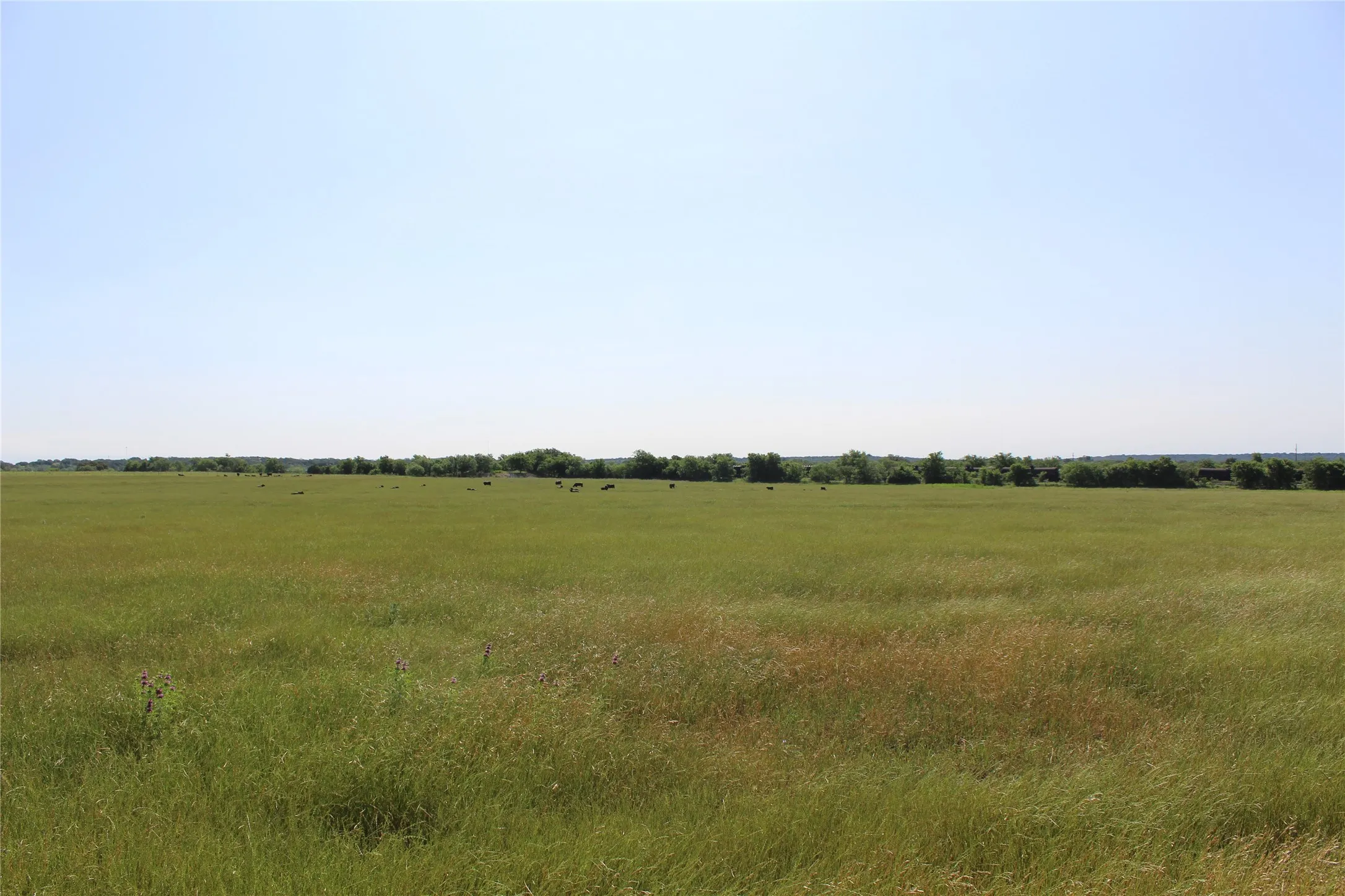 Unimproved Land For Sale in Brown County , 9999 County Road 334, Blanket, Texas 76432, 0, 0, Garage spaces, 0 Sqft, built in 0, mls#20615102, Real Estate Agent in Blanket, Homes For Sale in Brown county, Homes For Sale in Blanket, Realtor in Blanket Texas, Real Estate Brokerage Independent Realty Texas, Luminita Cordes Realtor
