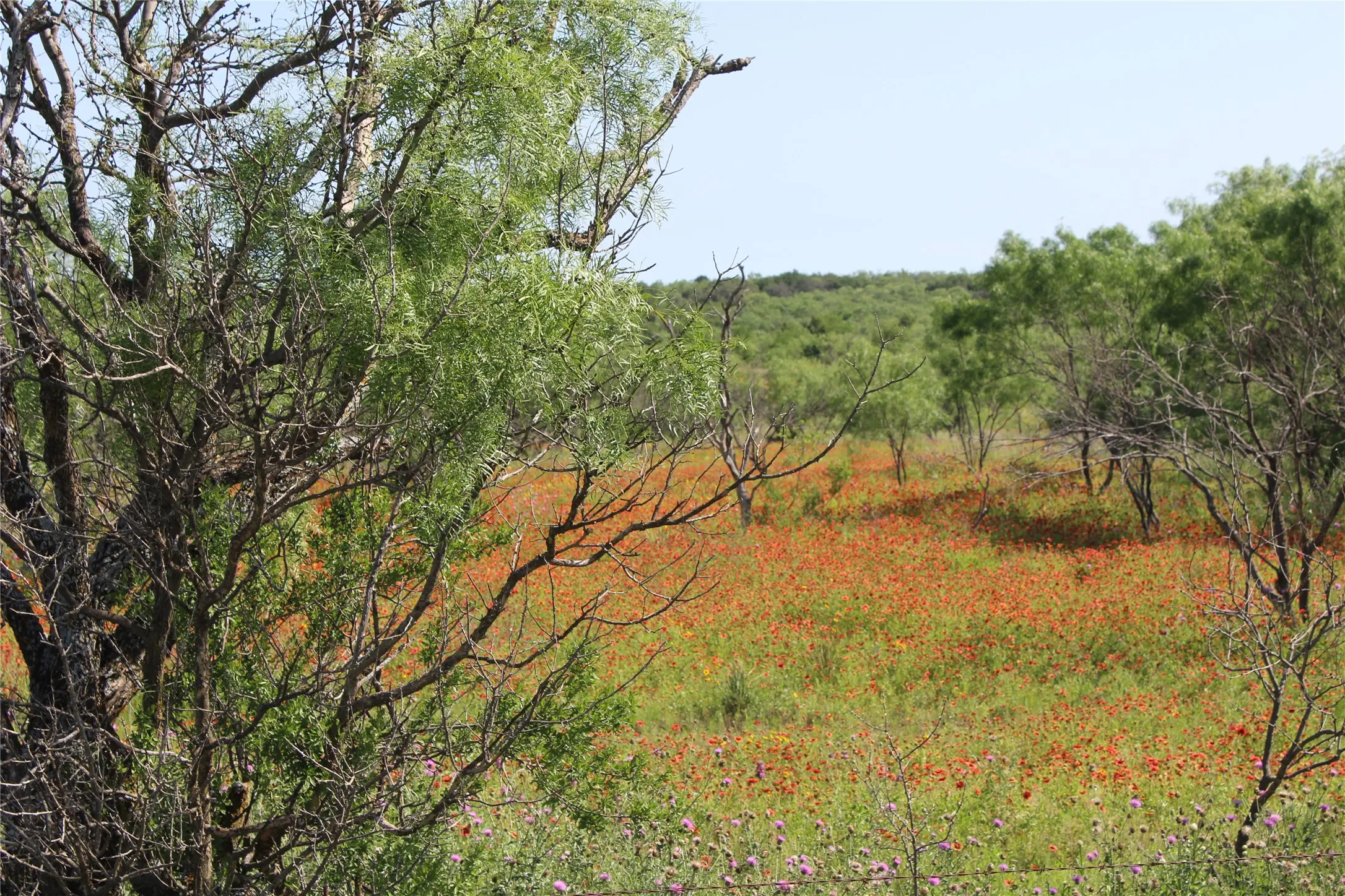 Back area of property with great cover for wildlife & views for Home sites