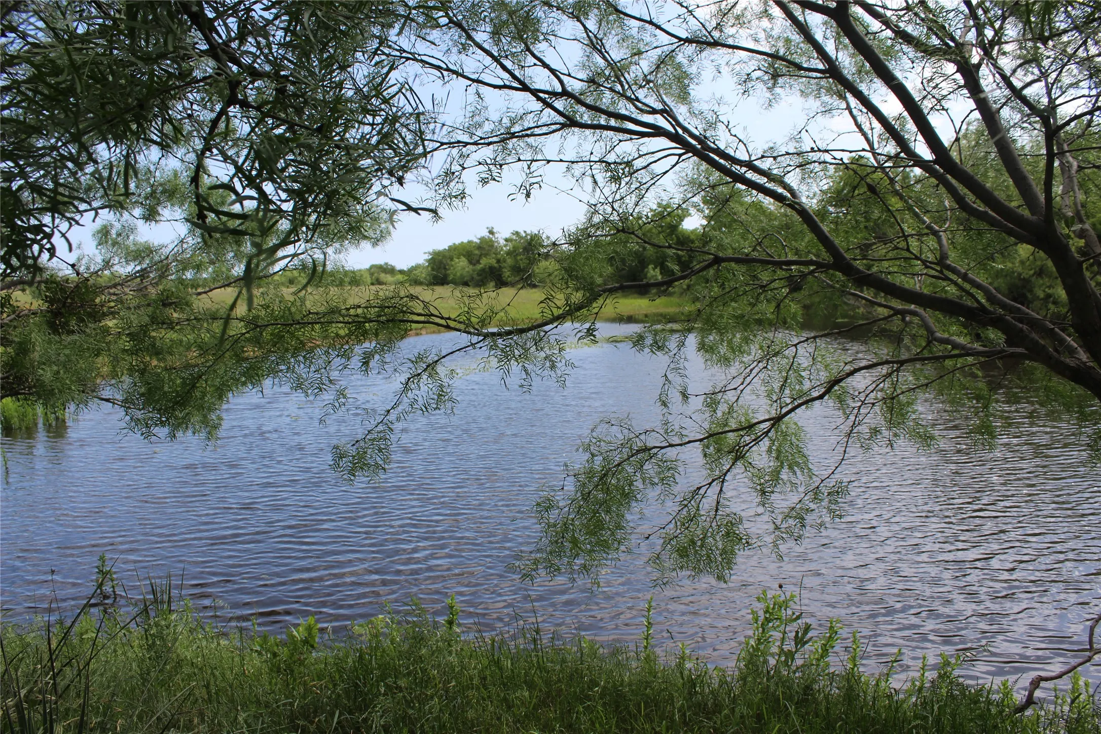 Unimproved Land For Sale in Brown County , 9999 County Road 334, Blanket, Texas 76432, 0, 0, Garage spaces, 0 Sqft, built in 0, mls#20615102, Real Estate Agent in Blanket, Homes For Sale in Brown county, Homes For Sale in Blanket, Realtor in Blanket Texas, Real Estate Brokerage Independent Realty Texas, Luminita Cordes Realtor