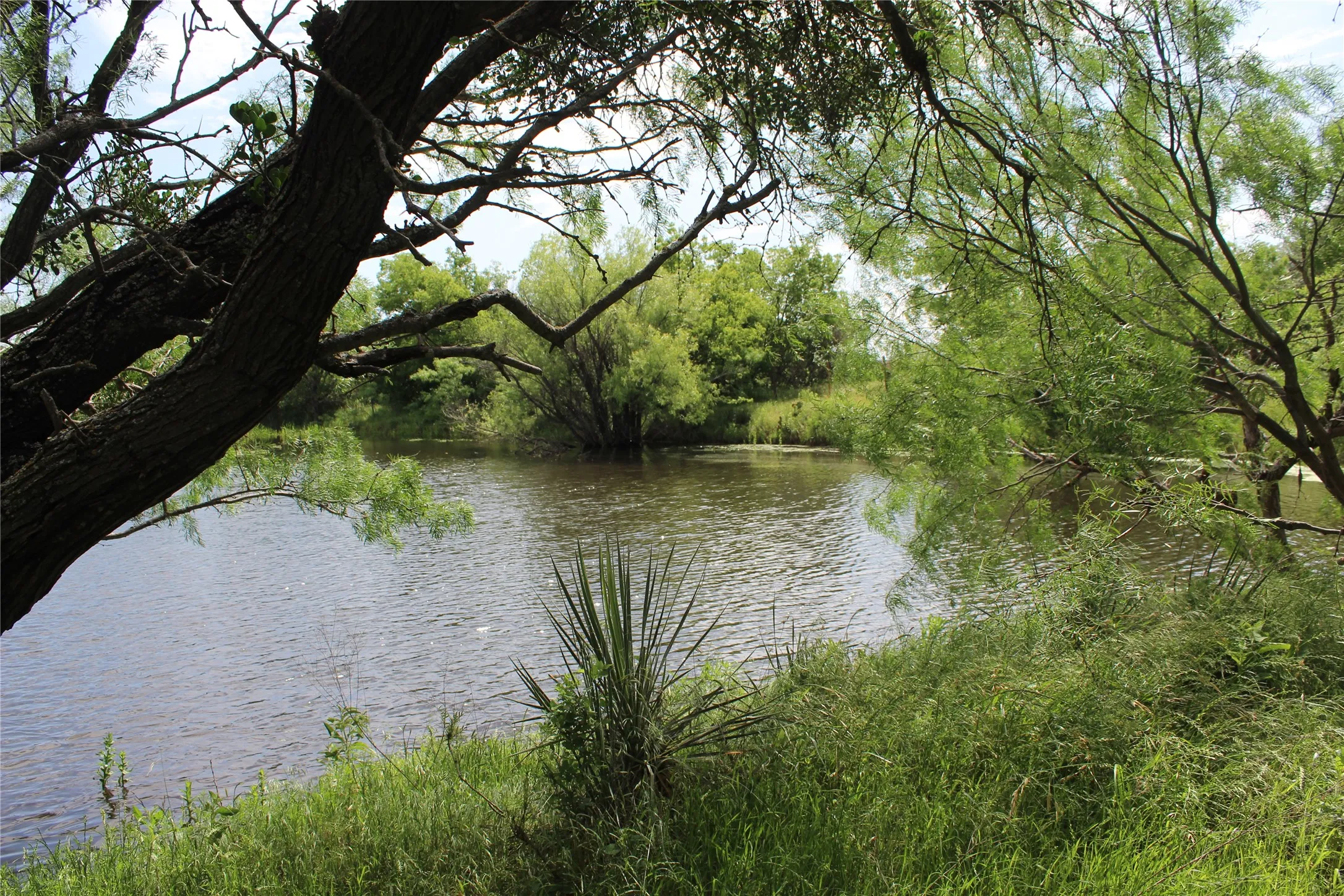 Unimproved Land For Sale in Brown County , 9999 County Road 334, Blanket, Texas 76432, 0, 0, Garage spaces, 0 Sqft, built in 0, mls#20615102, Real Estate Agent in Blanket, Homes For Sale in Brown county, Homes For Sale in Blanket, Realtor in Blanket Texas, Real Estate Brokerage Independent Realty Texas, Luminita Cordes Realtor