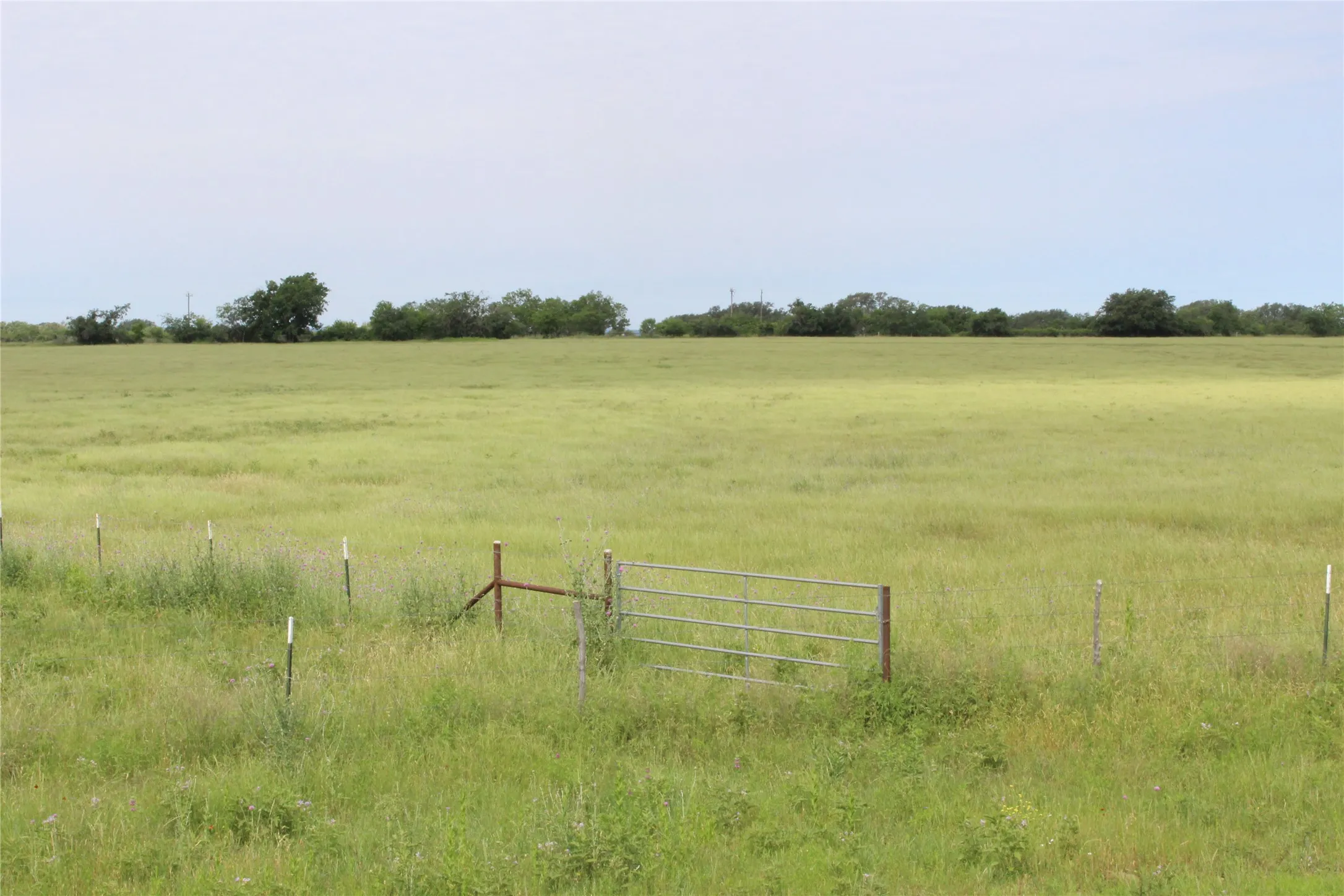 Unimproved Land For Sale in Brown County , 9999 County Road 334, Blanket, Texas 76432, 0, 0, Garage spaces, 0 Sqft, built in 0, mls#20615102, Real Estate Agent in Blanket, Homes For Sale in Brown county, Homes For Sale in Blanket, Realtor in Blanket Texas, Real Estate Brokerage Independent Realty Texas, Luminita Cordes Realtor