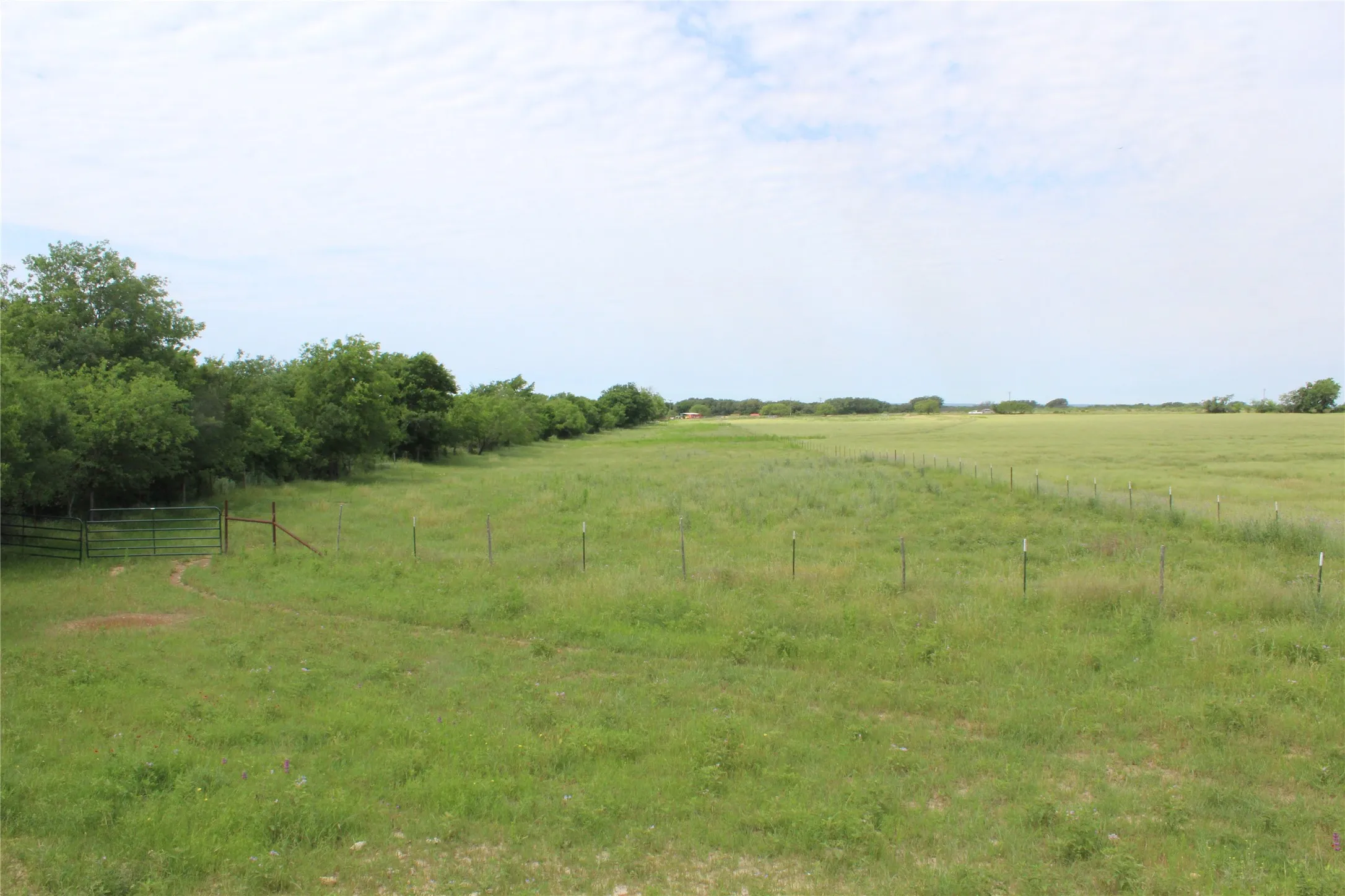 Unimproved Land For Sale in Brown County , 9999 County Road 334, Blanket, Texas 76432, 0, 0, Garage spaces, 0 Sqft, built in 0, mls#20615102, Real Estate Agent in Blanket, Homes For Sale in Brown county, Homes For Sale in Blanket, Realtor in Blanket Texas, Real Estate Brokerage Independent Realty Texas, Luminita Cordes Realtor