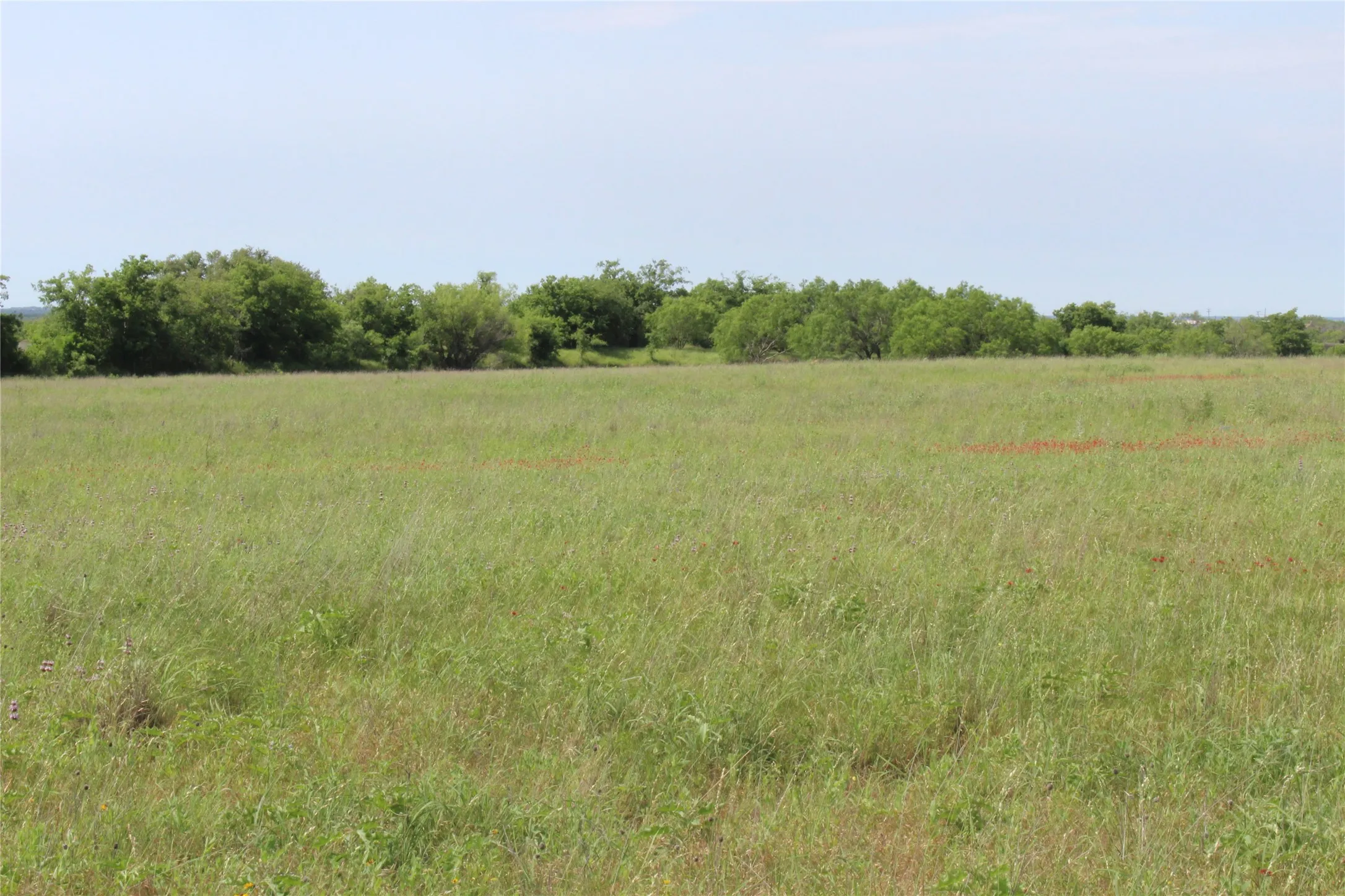 Unimproved Land For Sale in Brown County , 9999 County Road 334, Blanket, Texas 76432, 0, 0, Garage spaces, 0 Sqft, built in 0, mls#20615102, Real Estate Agent in Blanket, Homes For Sale in Brown county, Homes For Sale in Blanket, Realtor in Blanket Texas, Real Estate Brokerage Independent Realty Texas, Luminita Cordes Realtor