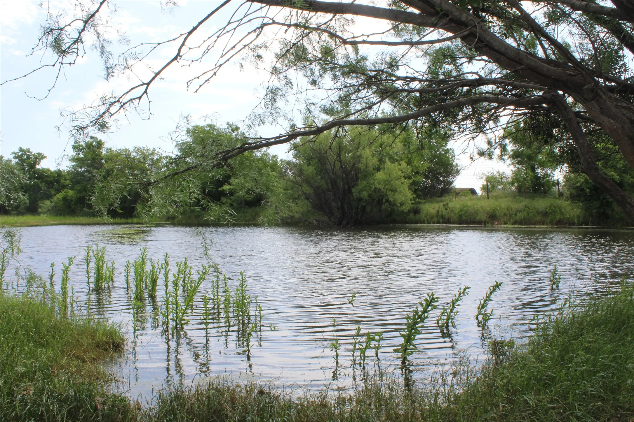 Unimproved Land For Sale in Brown County , 9999 County Road 334, Blanket, Texas 76432, 0, 0, Garage spaces, 0 Sqft, built in 0, mls#20615102, Real Estate Agent in Blanket, Homes For Sale in Brown county, Homes For Sale in Blanket, Realtor in Blanket Texas, Real Estate Brokerage Independent Realty Texas, Luminita Cordes Realtor