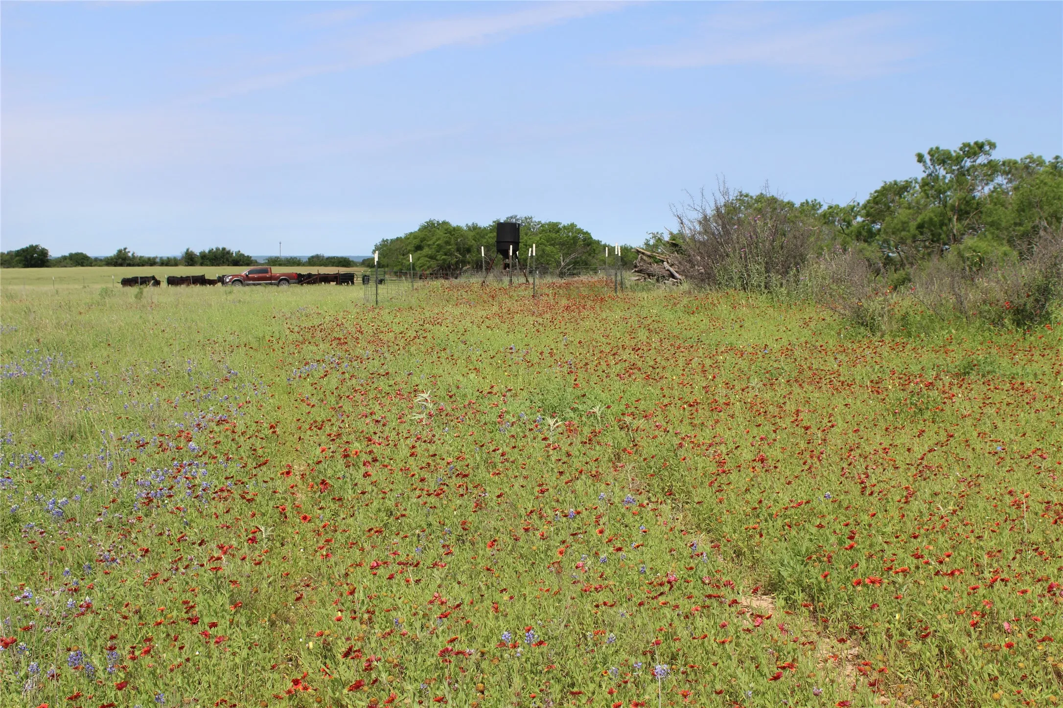 Unimproved Land For Sale in Brown County , 9999 County Road 334, Blanket, Texas 76432, 0, 0, Garage spaces, 0 Sqft, built in 0, mls#20615102, Real Estate Agent in Blanket, Homes For Sale in Brown county, Homes For Sale in Blanket, Realtor in Blanket Texas, Real Estate Brokerage Independent Realty Texas, Luminita Cordes Realtor