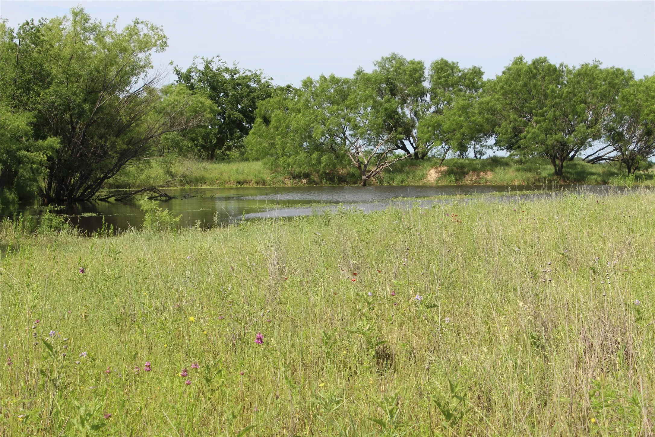 Unimproved Land For Sale in Brown County , 9999 County Road 334, Blanket, Texas 76432, 0, 0, Garage spaces, 0 Sqft, built in 0, mls#20615102, Real Estate Agent in Blanket, Homes For Sale in Brown county, Homes For Sale in Blanket, Realtor in Blanket Texas, Real Estate Brokerage Independent Realty Texas, Luminita Cordes Realtor