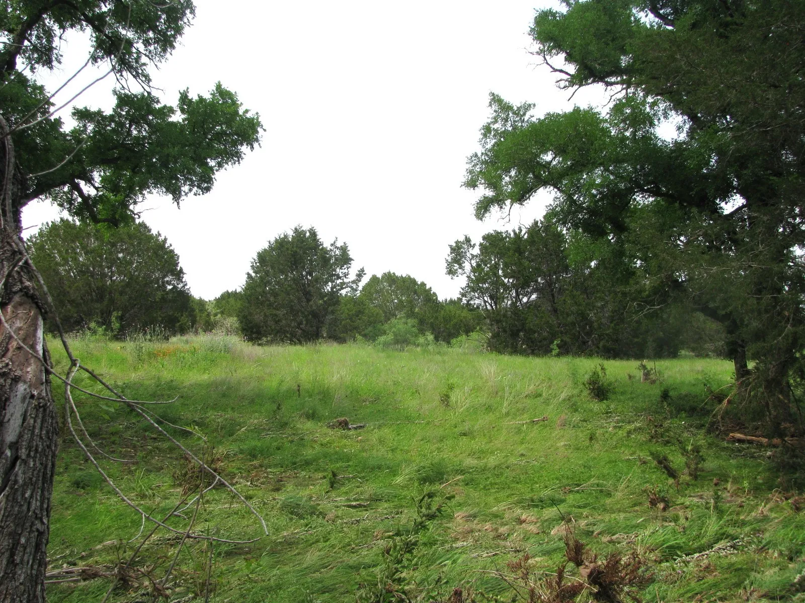 Unimproved Land For Sale in Hamilton County , Lot 44 Phase 6 PR 42107, Evant, Texas 76525, 0, 0, Garage spaces, 0 Sqft, built in 0, Price $125,000, mls#20617772, Real Estate Agent in Evant, Homes For Sale in Hamilton county, Homes For Sale in Evant, Realtor in Evant Texas, Real Estate Brokerage Independent Realty Texas, Luminita Cordes Realtor