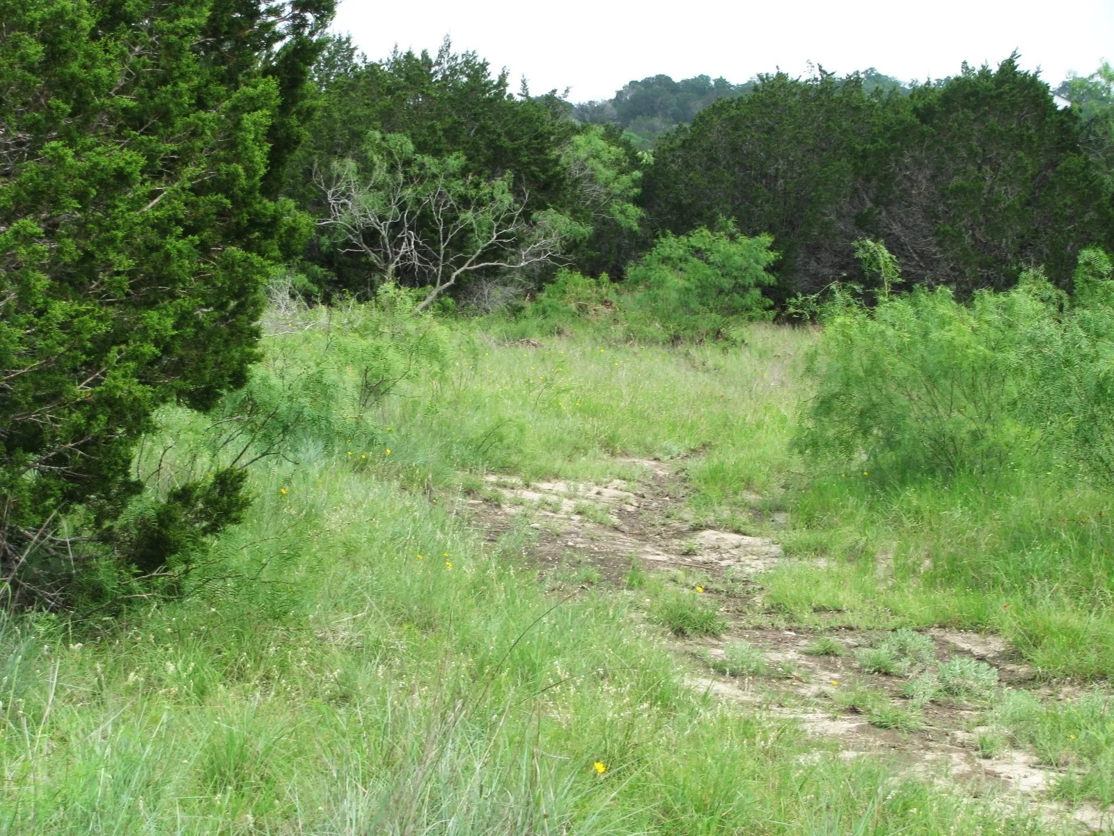 Unimproved Land For Sale in Hamilton County , Lot 44 Phase 6 PR 42107, Evant, Texas 76525, 0, 0, Garage spaces, 0 Sqft, built in 0, Price $125,000, mls#20617772, Real Estate Agent in Evant, Homes For Sale in Hamilton county, Homes For Sale in Evant, Realtor in Evant Texas, Real Estate Brokerage Independent Realty Texas, Luminita Cordes Realtor