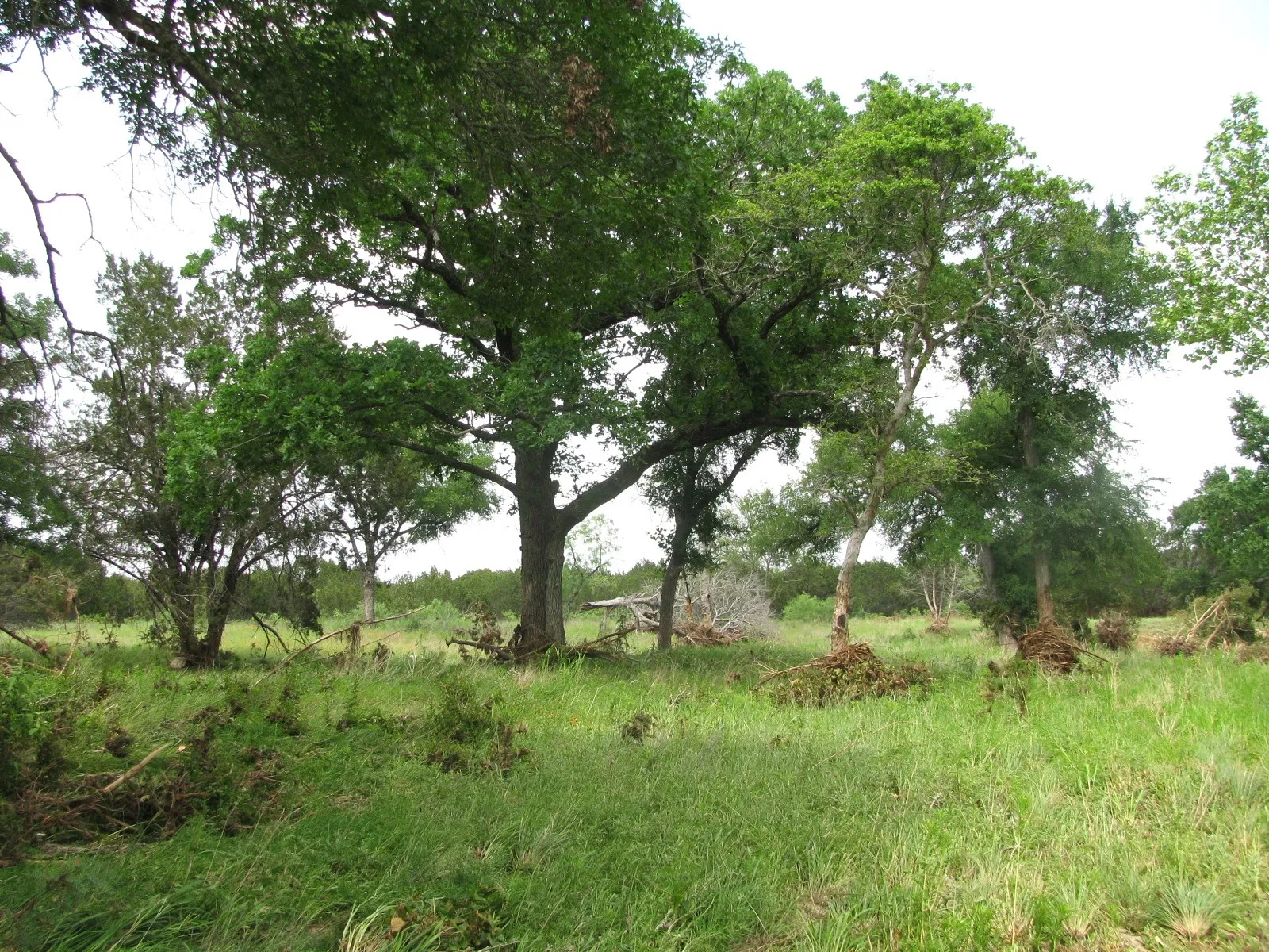 Unimproved Land For Sale in Hamilton County , Lot 44 Phase 6 PR 42107, Evant, Texas 76525, 0, 0, Garage spaces, 0 Sqft, built in 0, Price $125,000, mls#20617772, Real Estate Agent in Evant, Homes For Sale in Hamilton county, Homes For Sale in Evant, Realtor in Evant Texas, Real Estate Brokerage Independent Realty Texas, Luminita Cordes Realtor