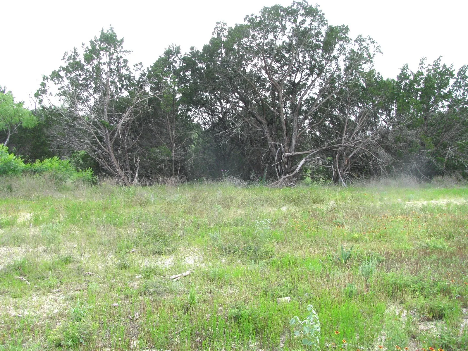 Unimproved Land For Sale in Hamilton County , Lot 44 Phase 6 PR 42107, Evant, Texas 76525, 0, 0, Garage spaces, 0 Sqft, built in 0, Price $125,000, mls#20617772, Real Estate Agent in Evant, Homes For Sale in Hamilton county, Homes For Sale in Evant, Realtor in Evant Texas, Real Estate Brokerage Independent Realty Texas, Luminita Cordes Realtor