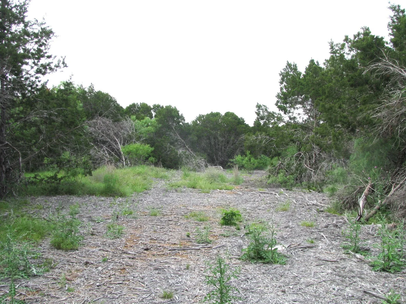 Unimproved Land For Sale in Hamilton County , Lot 44 Phase 6 PR 42107, Evant, Texas 76525, 0, 0, Garage spaces, 0 Sqft, built in 0, Price $125,000, mls#20617772, Real Estate Agent in Evant, Homes For Sale in Hamilton county, Homes For Sale in Evant, Realtor in Evant Texas, Real Estate Brokerage Independent Realty Texas, Luminita Cordes Realtor