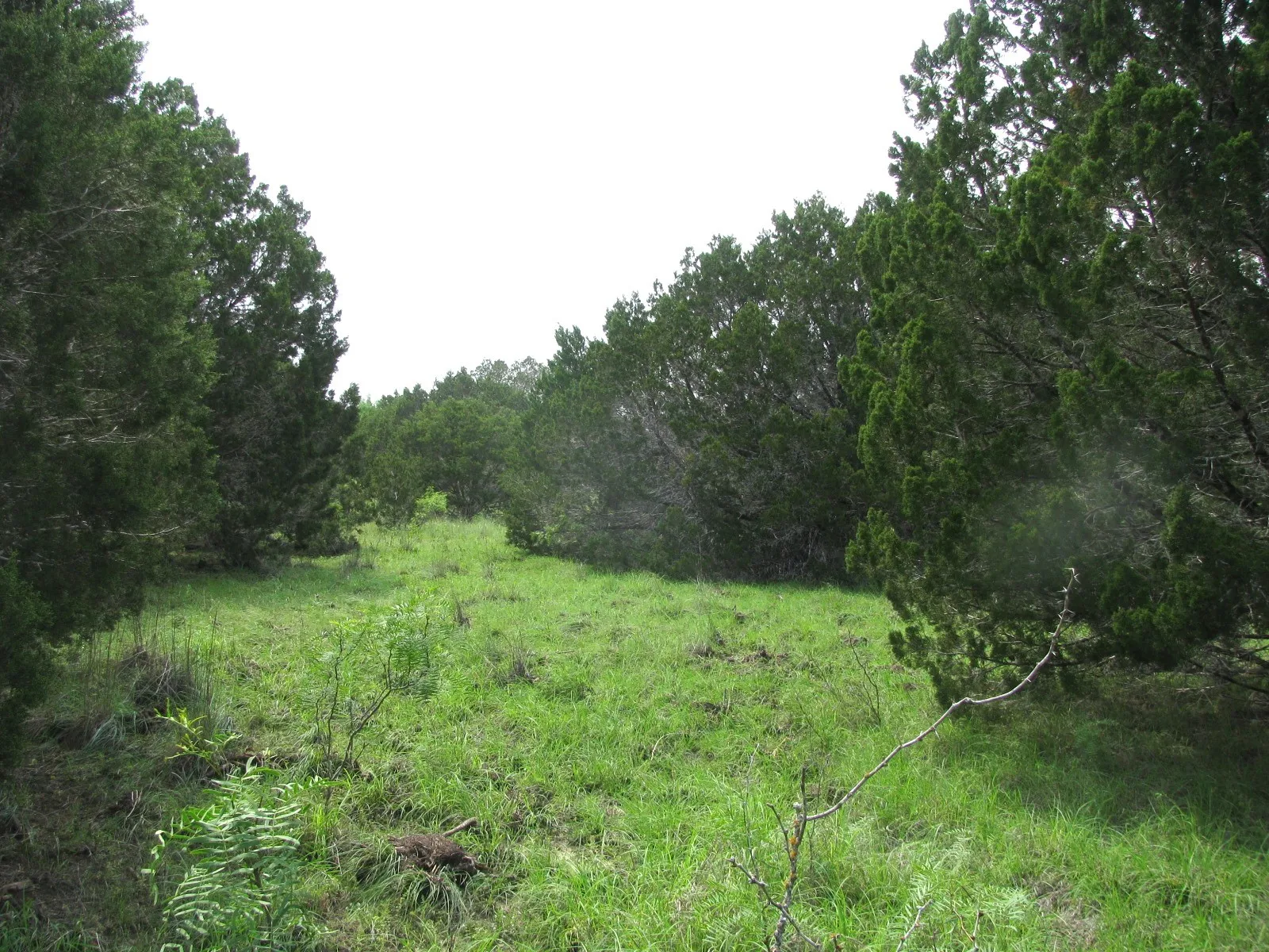 Unimproved Land For Sale in Hamilton County , Lot 44 Phase 6 PR 42107, Evant, Texas 76525, 0, 0, Garage spaces, 0 Sqft, built in 0, Price $125,000, mls#20617772, Real Estate Agent in Evant, Homes For Sale in Hamilton county, Homes For Sale in Evant, Realtor in Evant Texas, Real Estate Brokerage Independent Realty Texas, Luminita Cordes Realtor