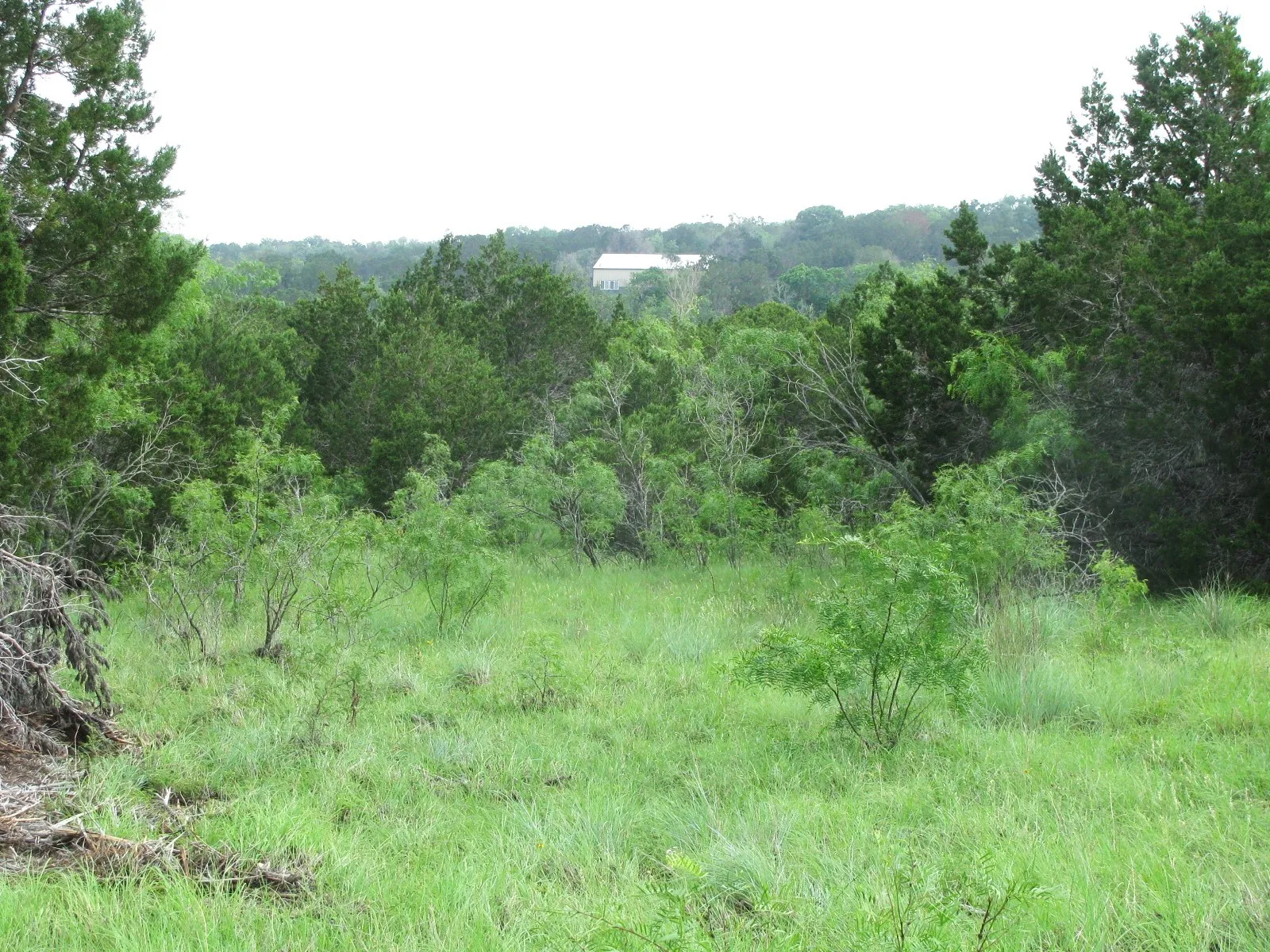Unimproved Land For Sale in Hamilton County , Lot 44 Phase 6 PR 42107, Evant, Texas 76525, 0, 0, Garage spaces, 0 Sqft, built in 0, Price $125,000, mls#20617772, Real Estate Agent in Evant, Homes For Sale in Hamilton county, Homes For Sale in Evant, Realtor in Evant Texas, Real Estate Brokerage Independent Realty Texas, Luminita Cordes Realtor