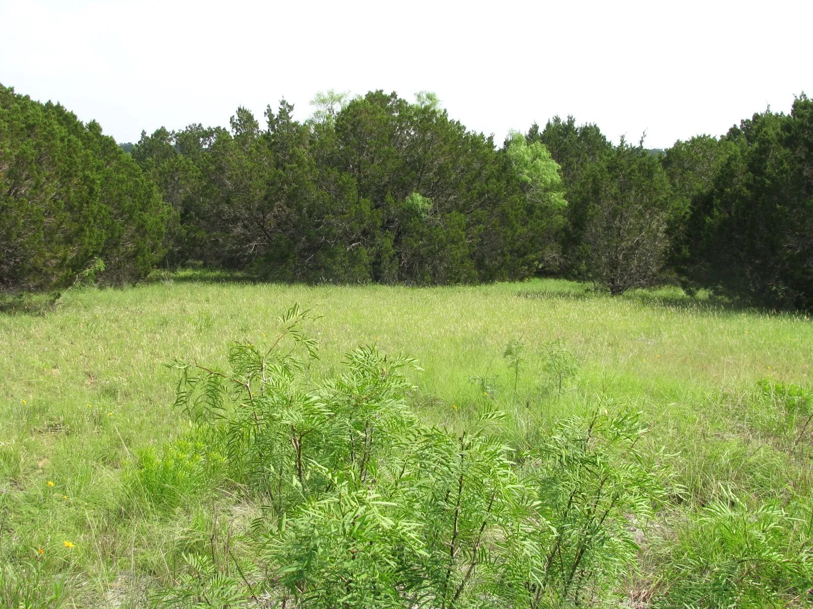Unimproved Land For Sale in Hamilton County , Lot 44 Phase 6 PR 42107, Evant, Texas 76525, 0, 0, Garage spaces, 0 Sqft, built in 0, Price $125,000, mls#20617772, Real Estate Agent in Evant, Homes For Sale in Hamilton county, Homes For Sale in Evant, Realtor in Evant Texas, Real Estate Brokerage Independent Realty Texas, Luminita Cordes Realtor