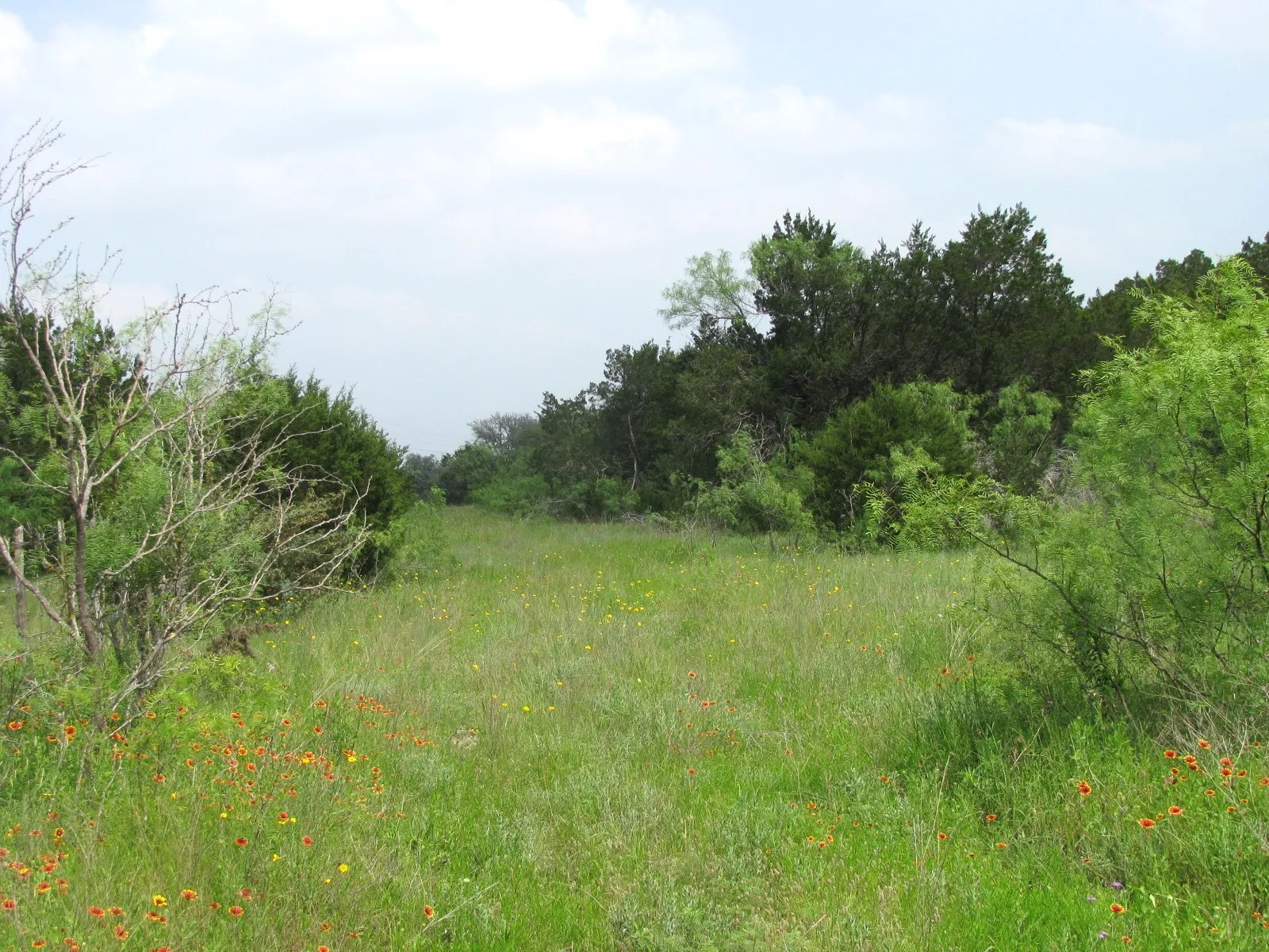 Unimproved Land For Sale in Hamilton County , Lot 44 Phase 6 PR 42107, Evant, Texas 76525, 0, 0, Garage spaces, 0 Sqft, built in 0, Price $125,000, mls#20617772, Real Estate Agent in Evant, Homes For Sale in Hamilton county, Homes For Sale in Evant, Realtor in Evant Texas, Real Estate Brokerage Independent Realty Texas, Luminita Cordes Realtor
