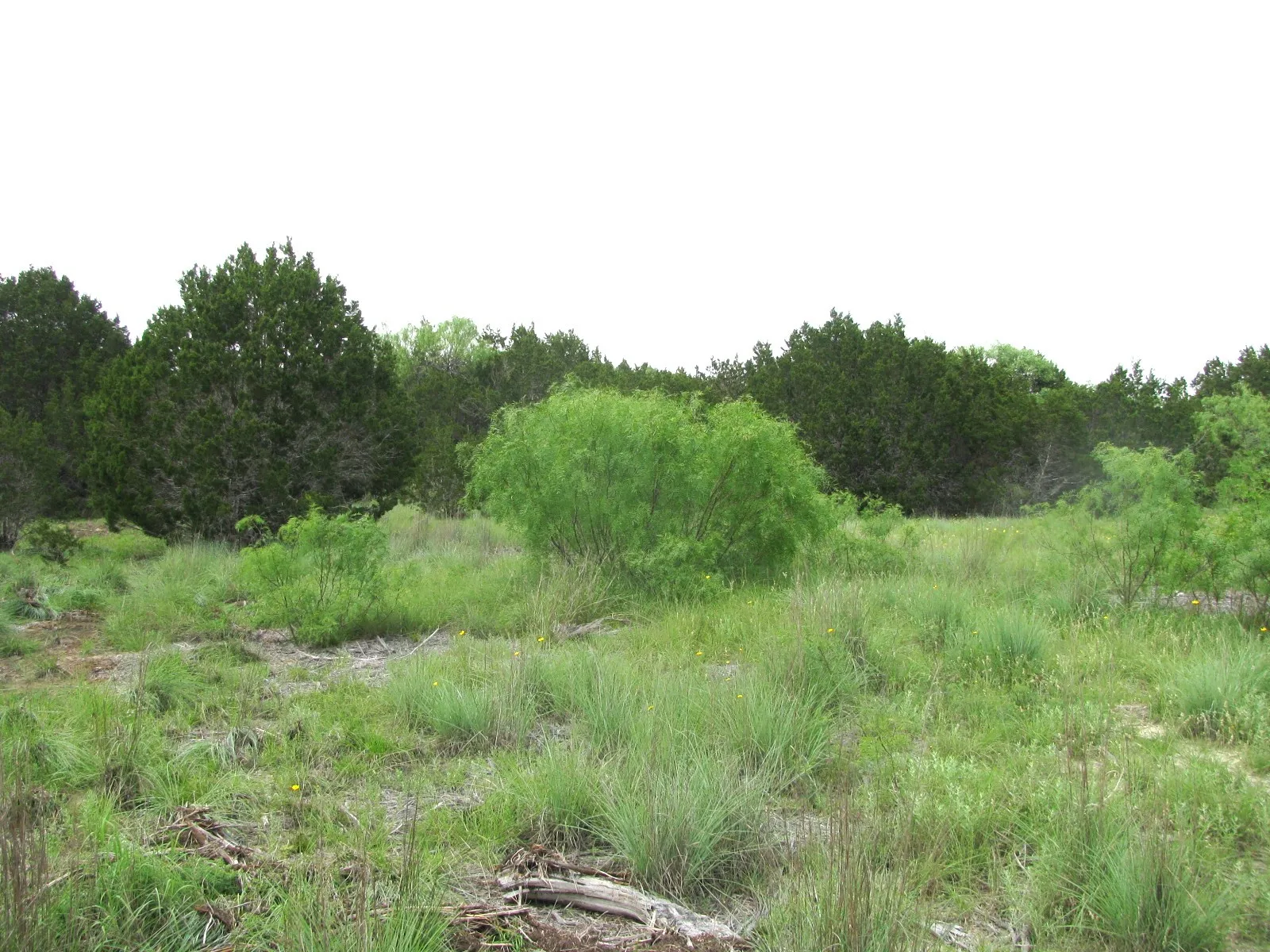Unimproved Land For Sale in Hamilton County , Lot 44 Phase 6 PR 42107, Evant, Texas 76525, 0, 0, Garage spaces, 0 Sqft, built in 0, Price $125,000, mls#20617772, Real Estate Agent in Evant, Homes For Sale in Hamilton county, Homes For Sale in Evant, Realtor in Evant Texas, Real Estate Brokerage Independent Realty Texas, Luminita Cordes Realtor