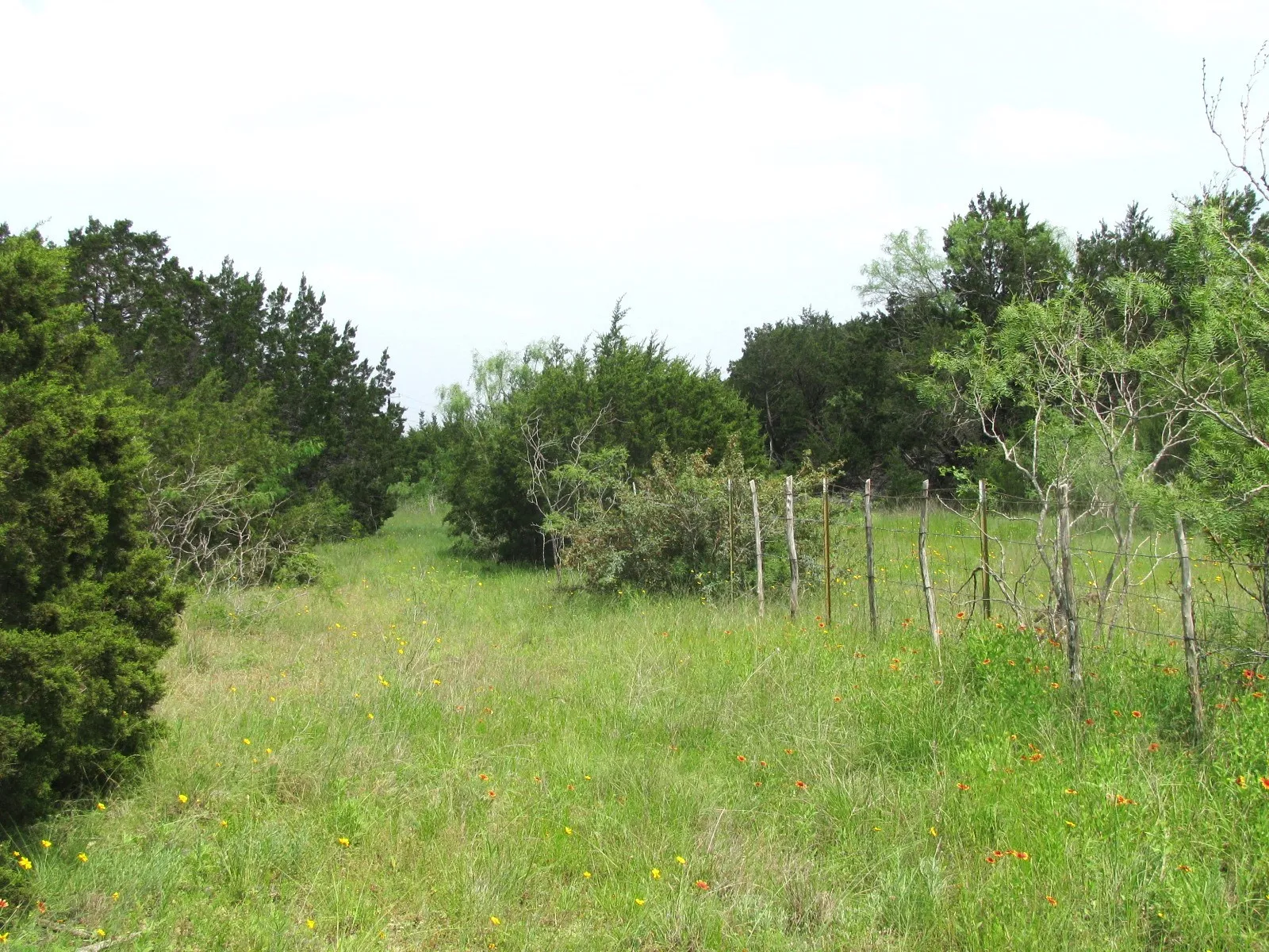 Unimproved Land For Sale in Hamilton County , Lot 44 Phase 6 PR 42107, Evant, Texas 76525, 0, 0, Garage spaces, 0 Sqft, built in 0, Price $125,000, mls#20617772, Real Estate Agent in Evant, Homes For Sale in Hamilton county, Homes For Sale in Evant, Realtor in Evant Texas, Real Estate Brokerage Independent Realty Texas, Luminita Cordes Realtor