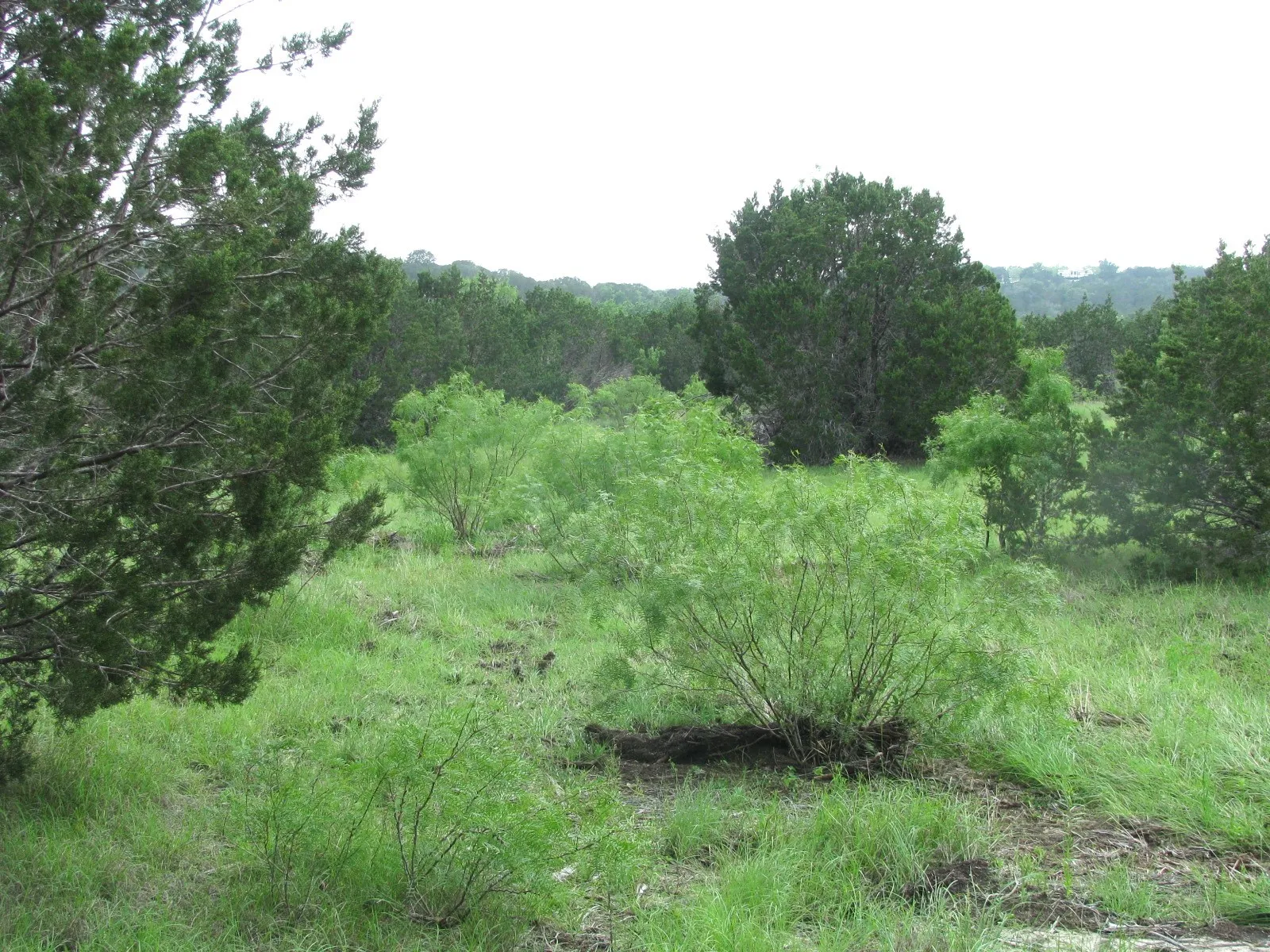 Unimproved Land For Sale in Hamilton County , Lot 44 Phase 6 PR 42107, Evant, Texas 76525, 0, 0, Garage spaces, 0 Sqft, built in 0, Price $125,000, mls#20617772, Real Estate Agent in Evant, Homes For Sale in Hamilton county, Homes For Sale in Evant, Realtor in Evant Texas, Real Estate Brokerage Independent Realty Texas, Luminita Cordes Realtor