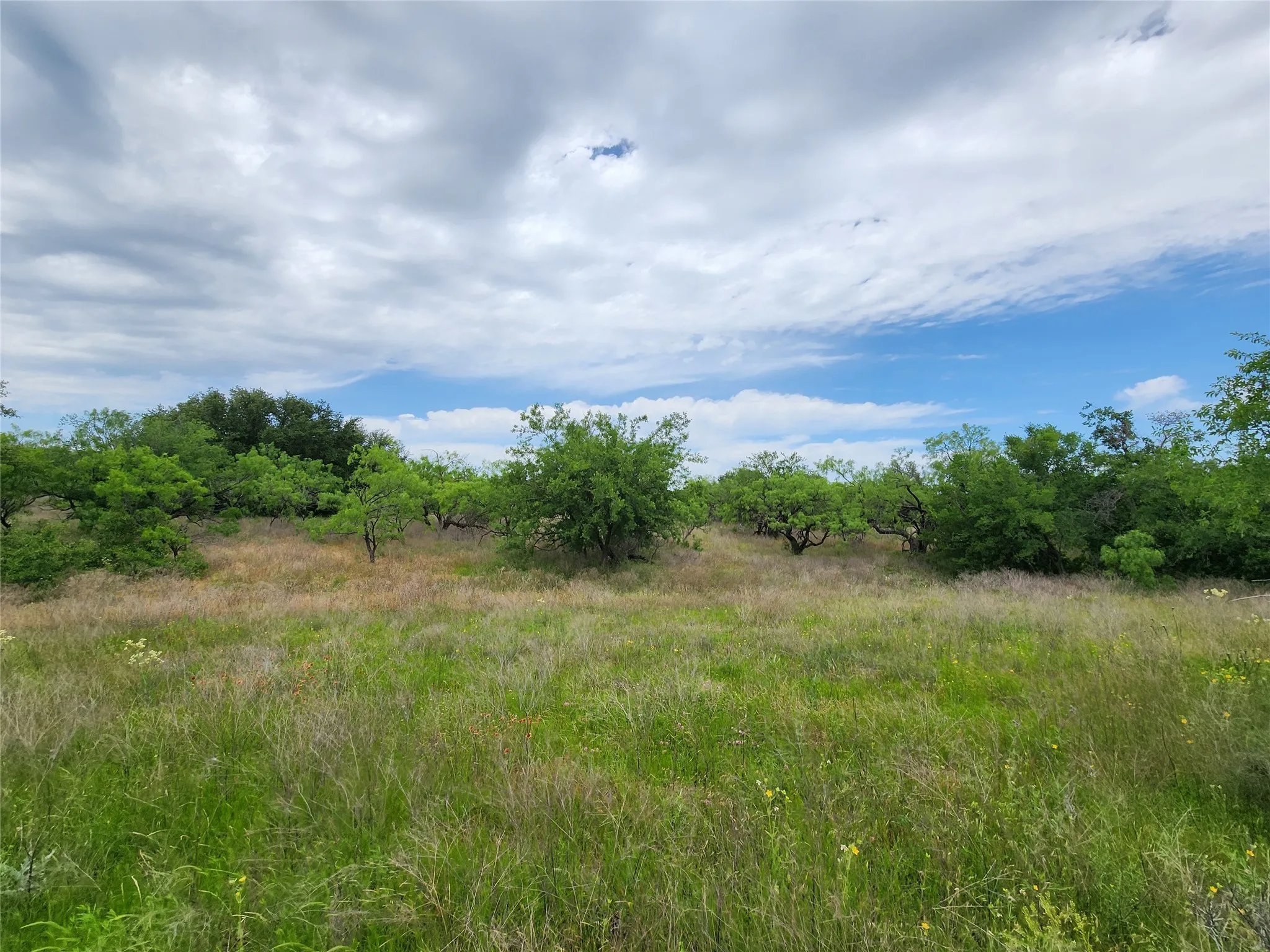 View of nature
