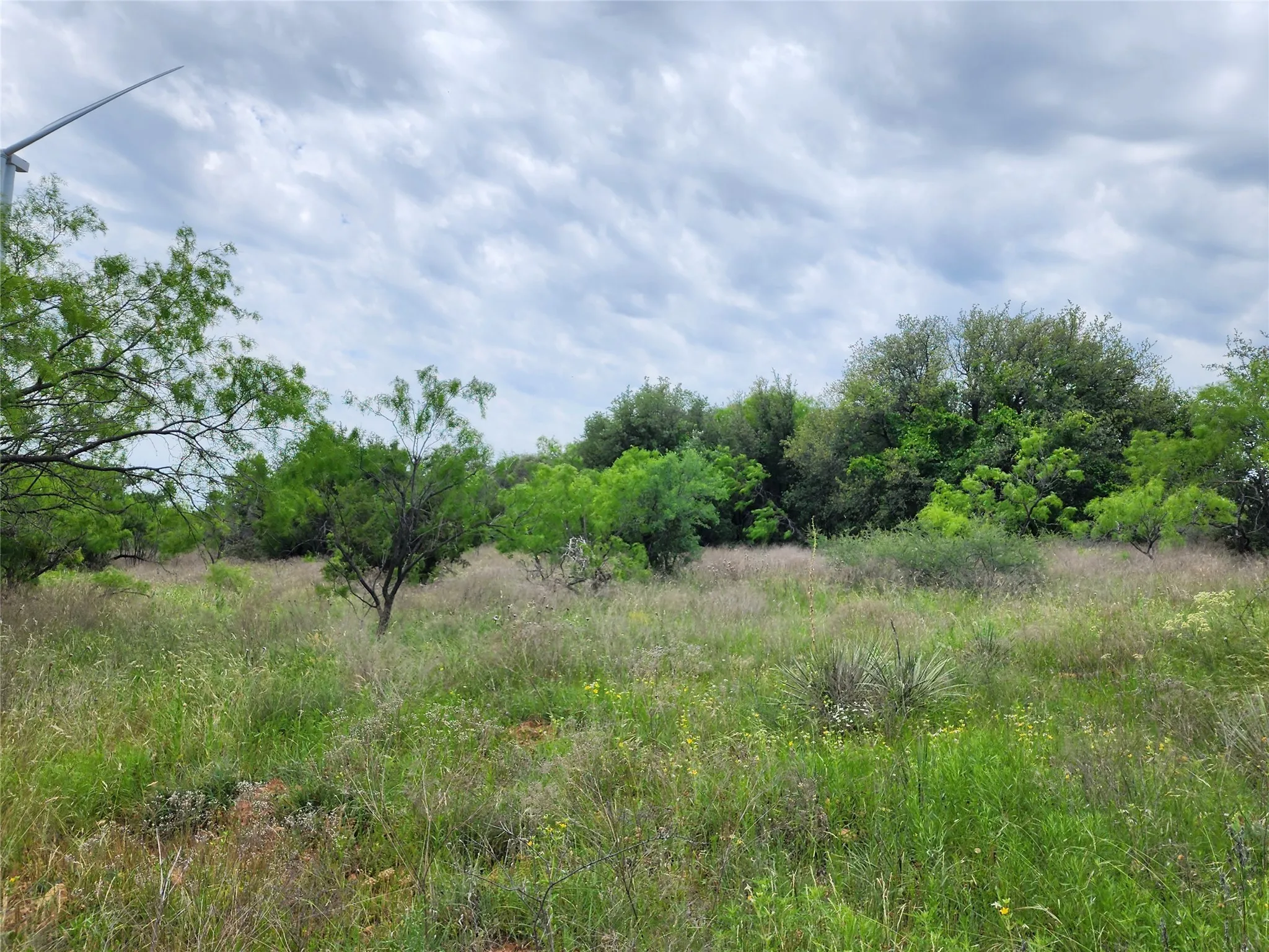 View of nature