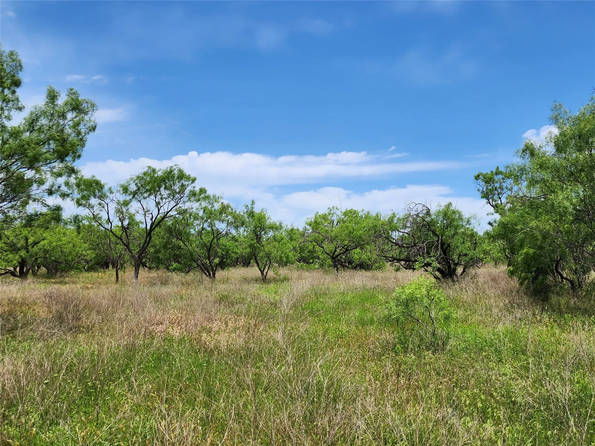 View of nature featuring a rural view