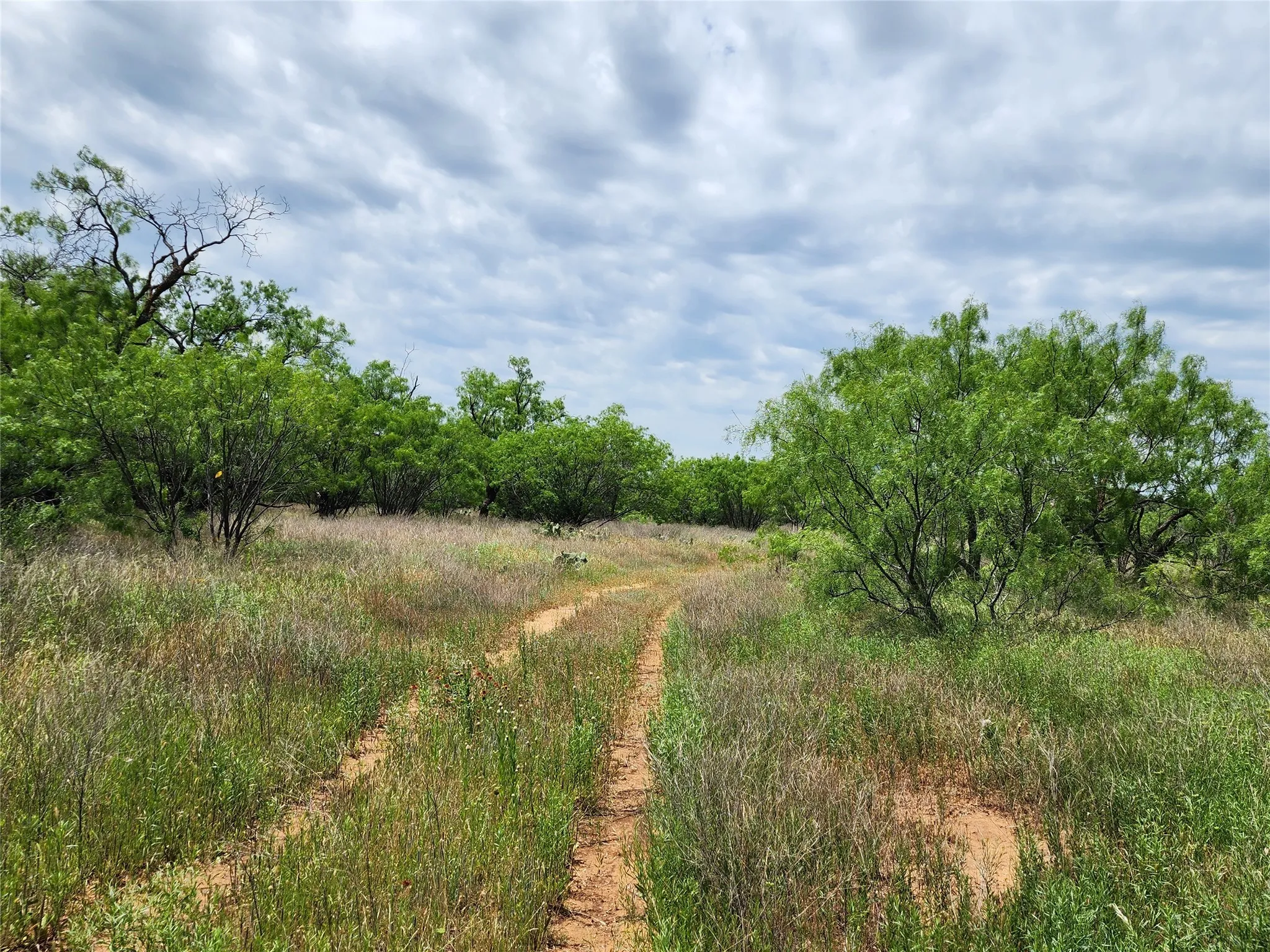 View of nature