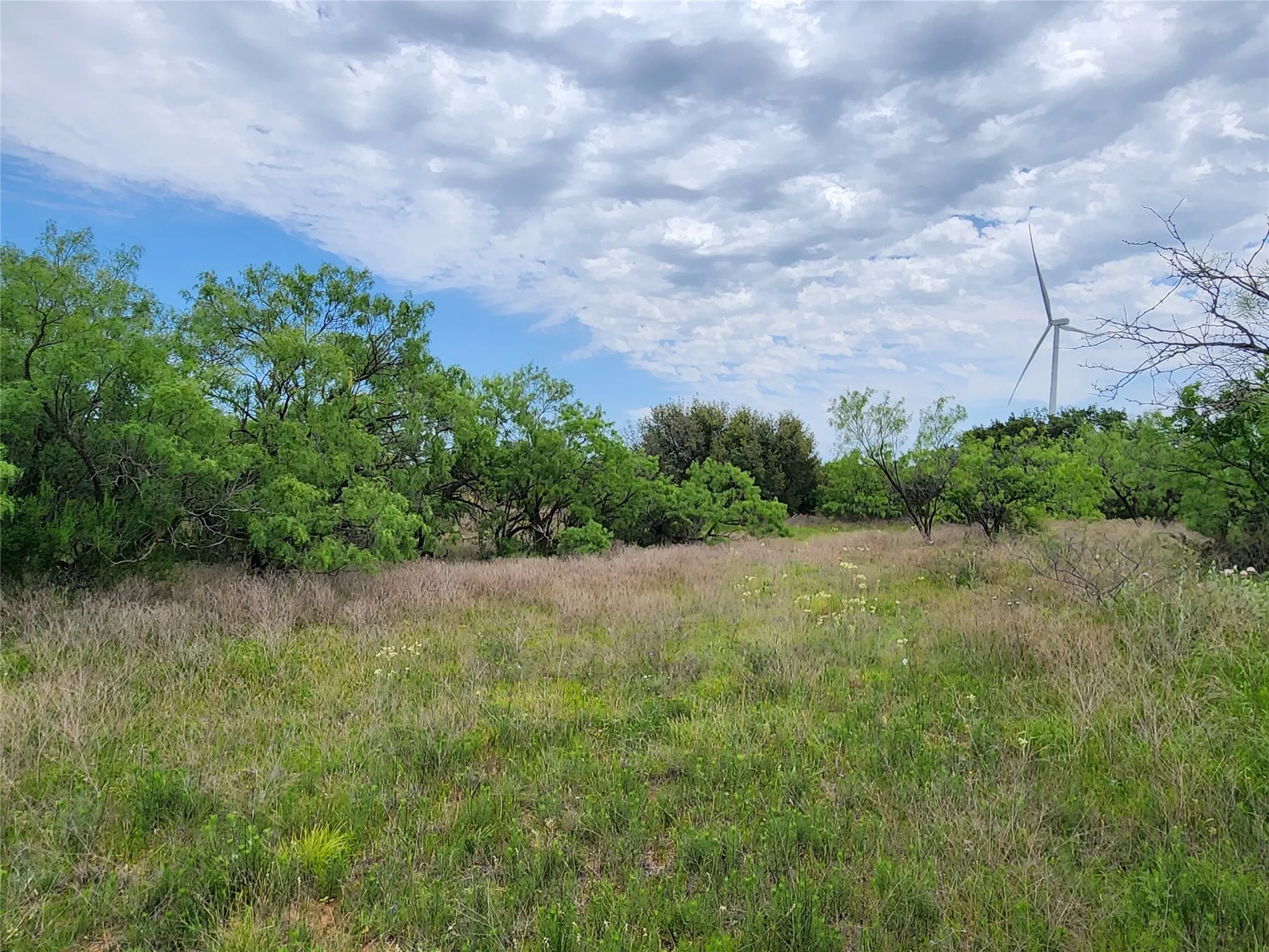 View of nature