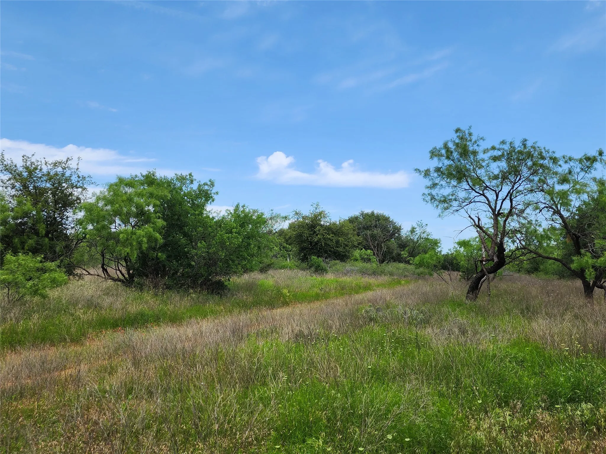 View of local wilderness