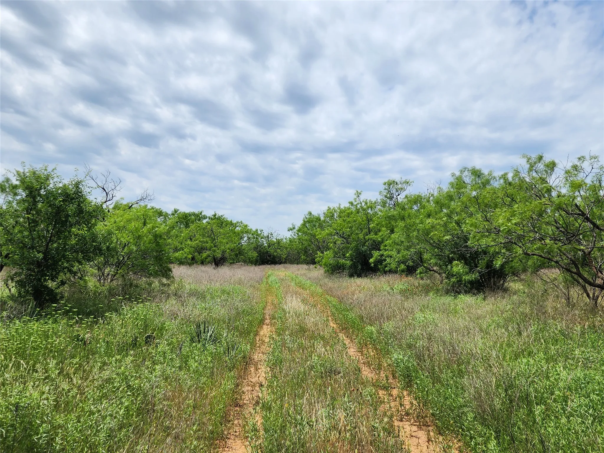 View of nature
