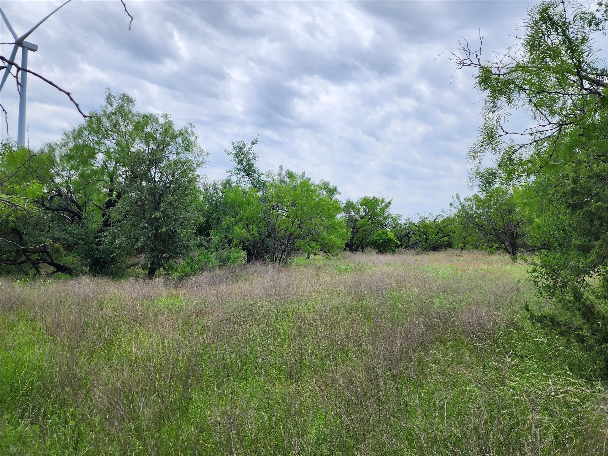 View of nature