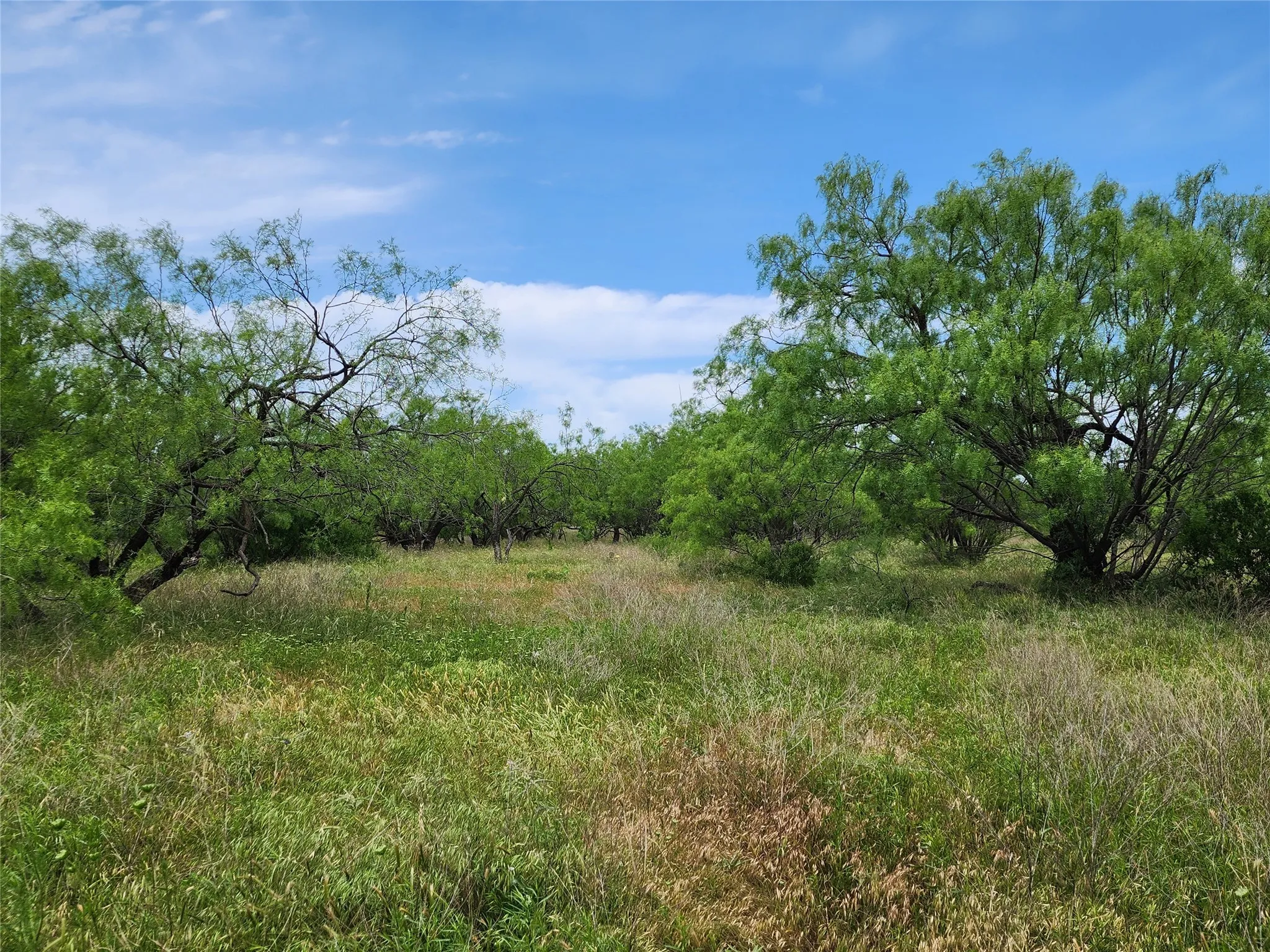 View of nature
