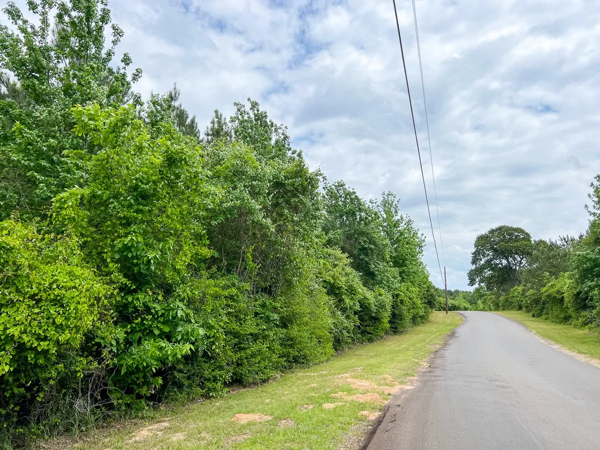 View of road