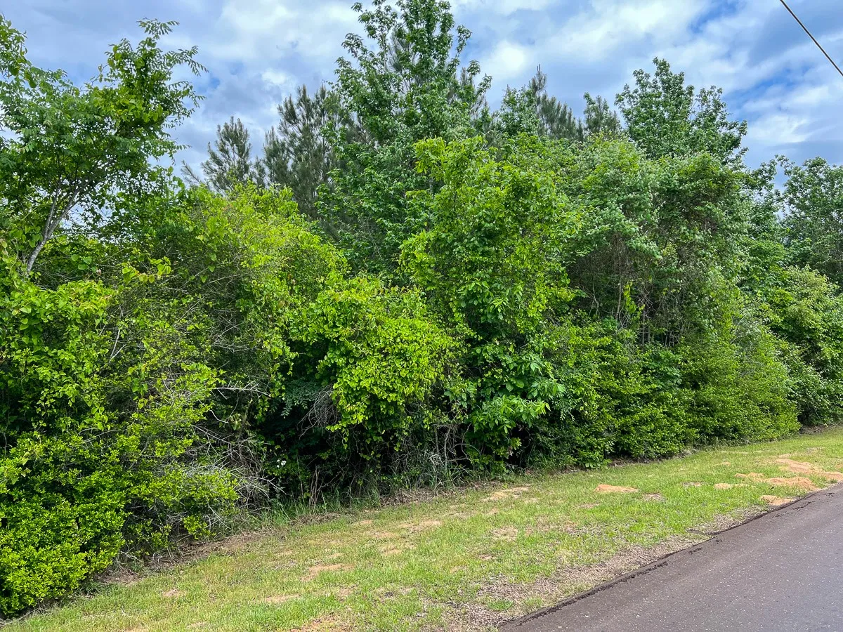 Unimproved Land For Sale in Houston County , 05 CR 2145, Latexo, Texas 75835, 0, 0, Garage spaces, 0 Sqft, built in 0, Price $296,000, mls#20618992, Real Estate Agent in Latexo, Homes For Sale in Houston county, Homes For Sale in Latexo, Realtor in Latexo Texas, Real Estate Brokerage Independent Realty Texas, Luminita Cordes Realtor