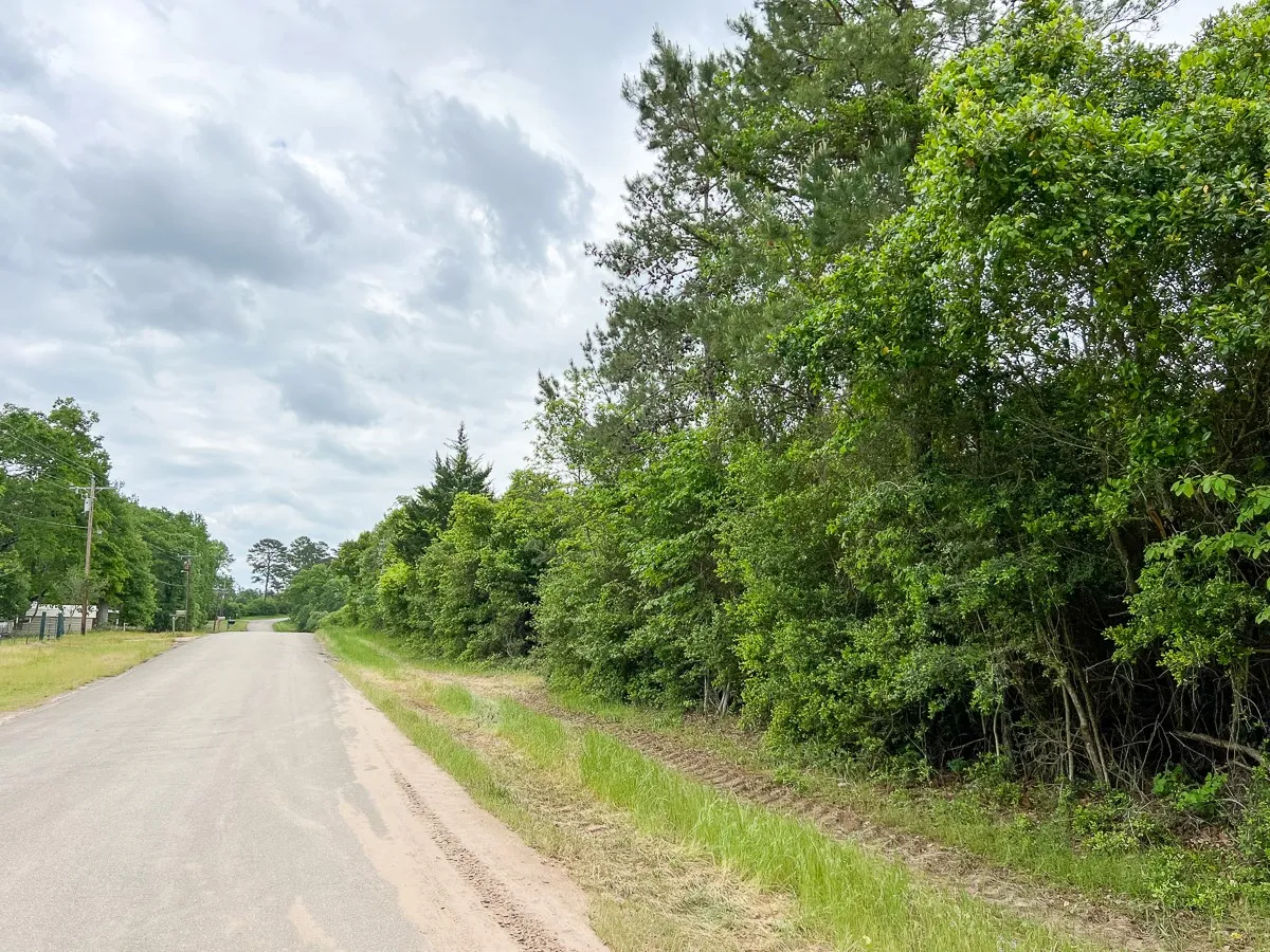 View of road