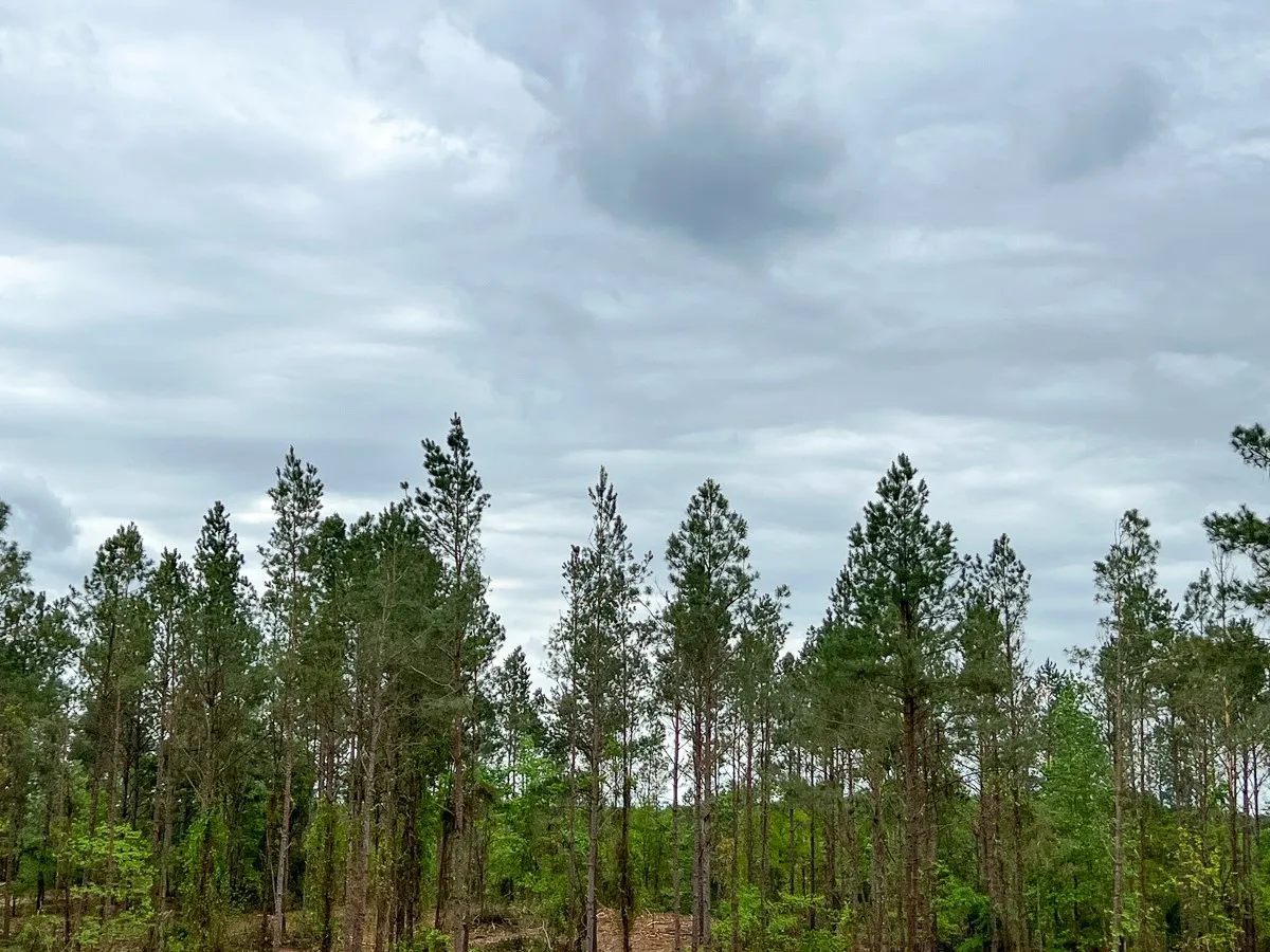 View of mother earth's splendor