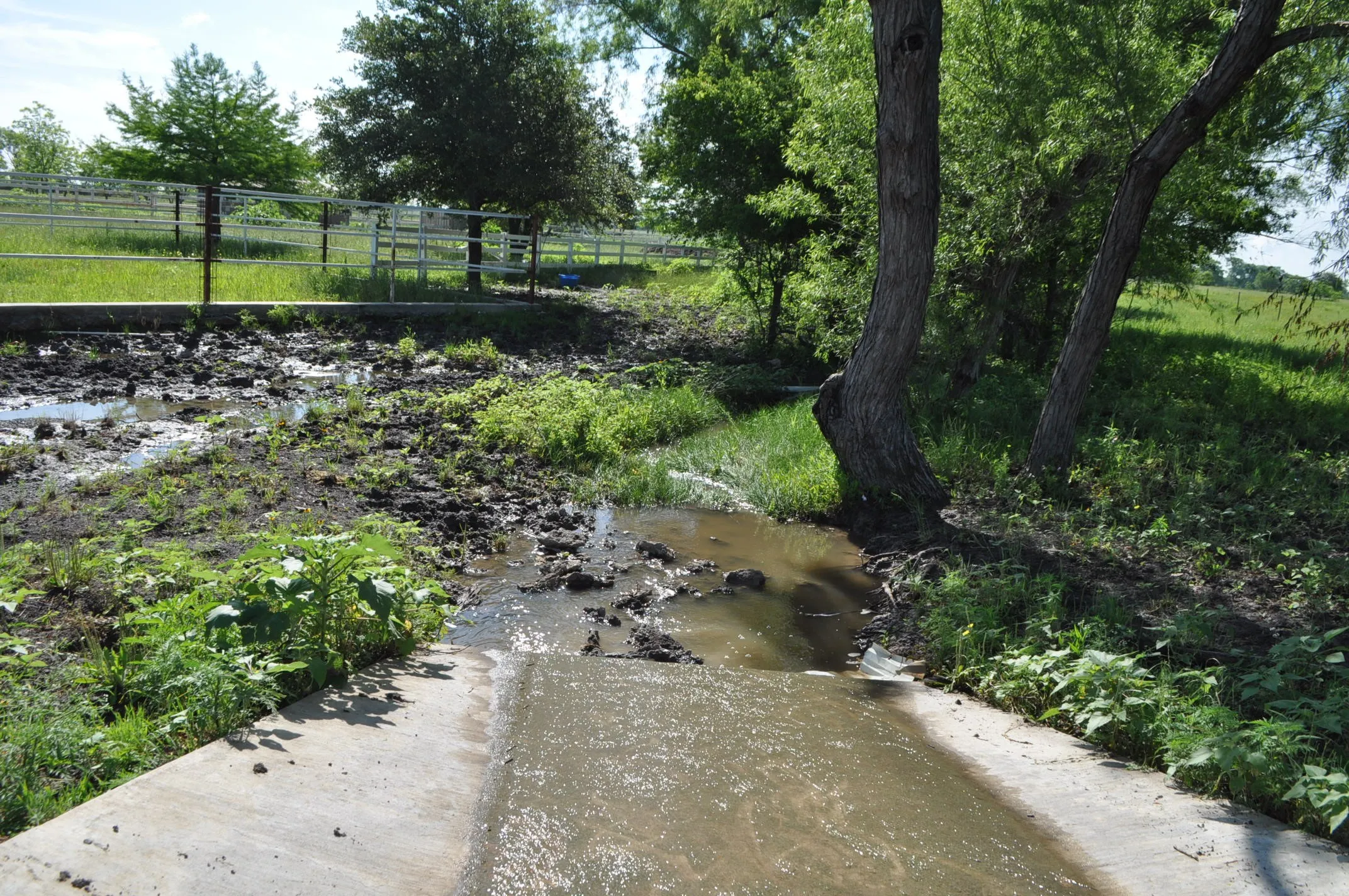 View of yard with a water view