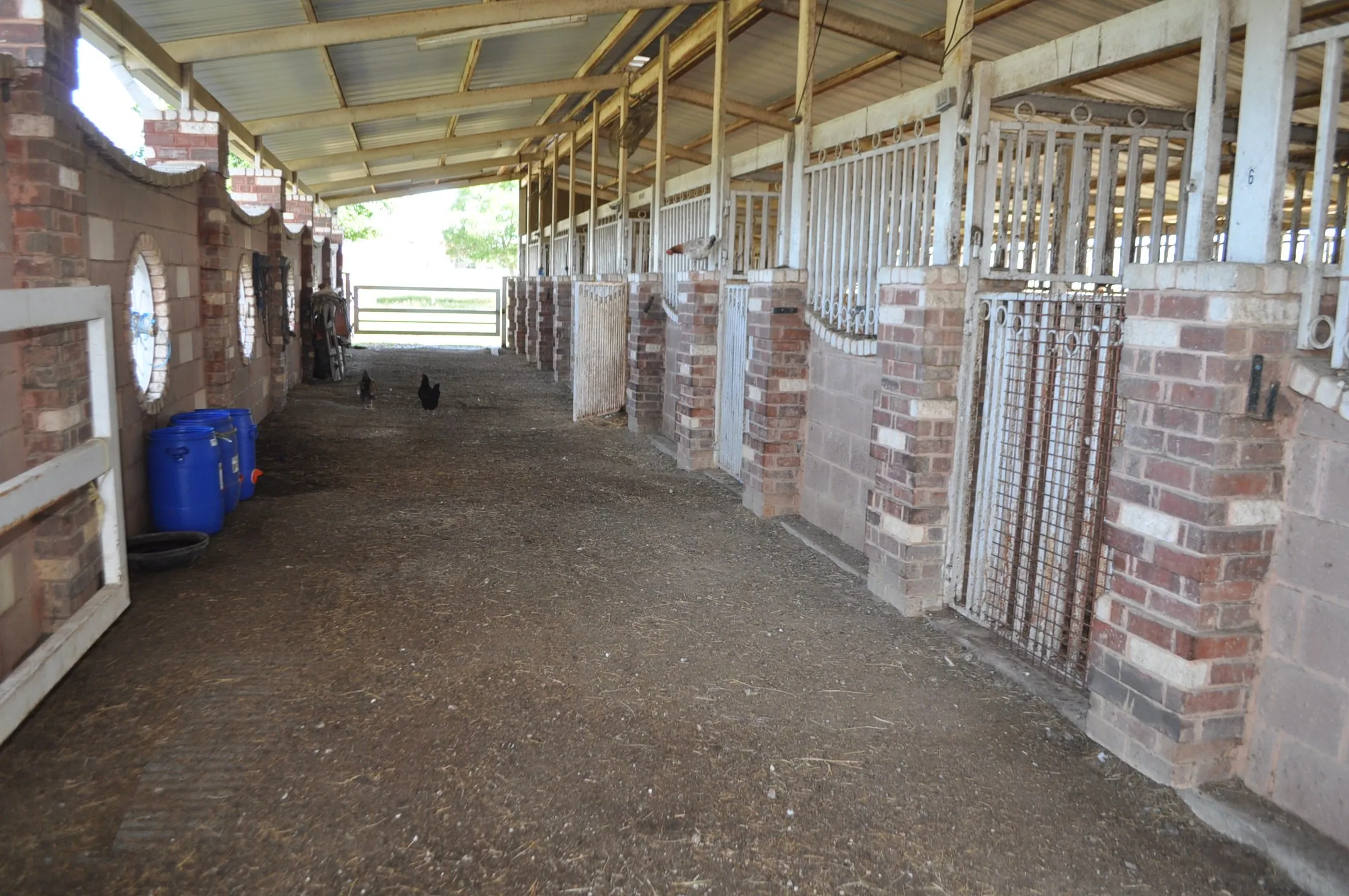 View of horse barn