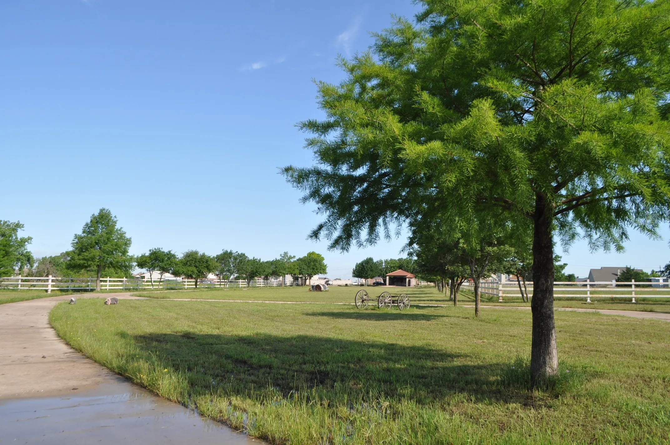 View of nearby features with a yard